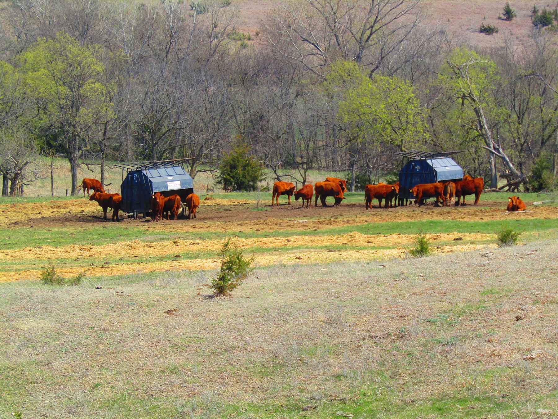 Red Sky Farm & Ranch property picture 63 of 99