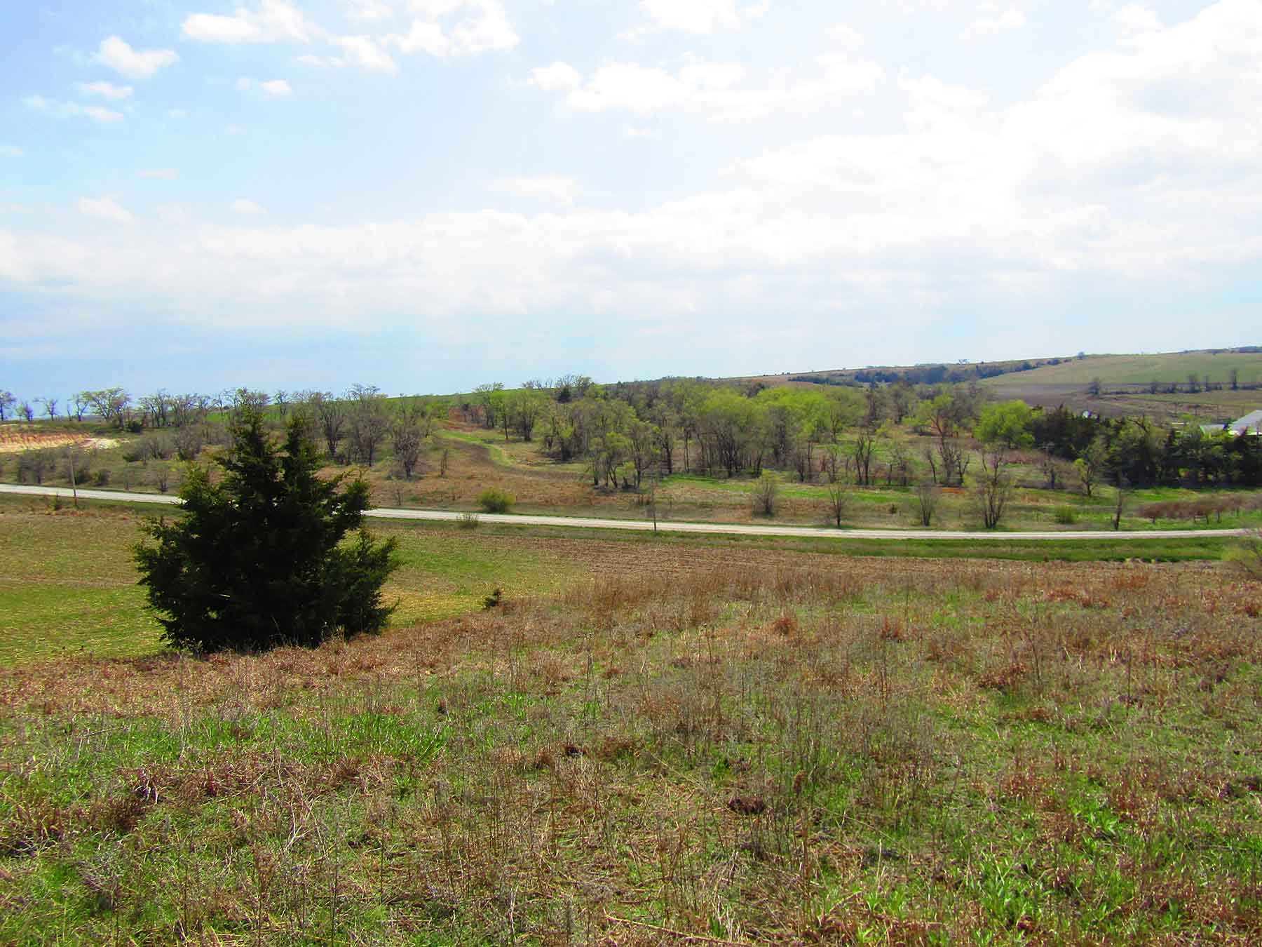 Red Sky Farm & Ranch property picture 8 of 99