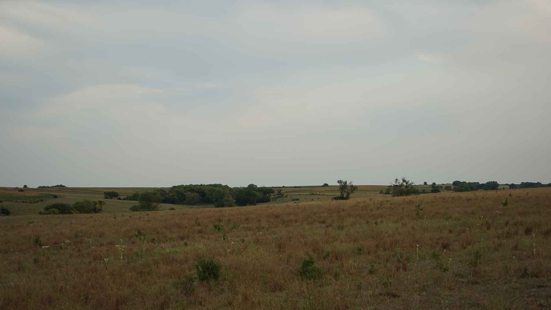 Red Sky Farm & Ranch property picture 74 of 99