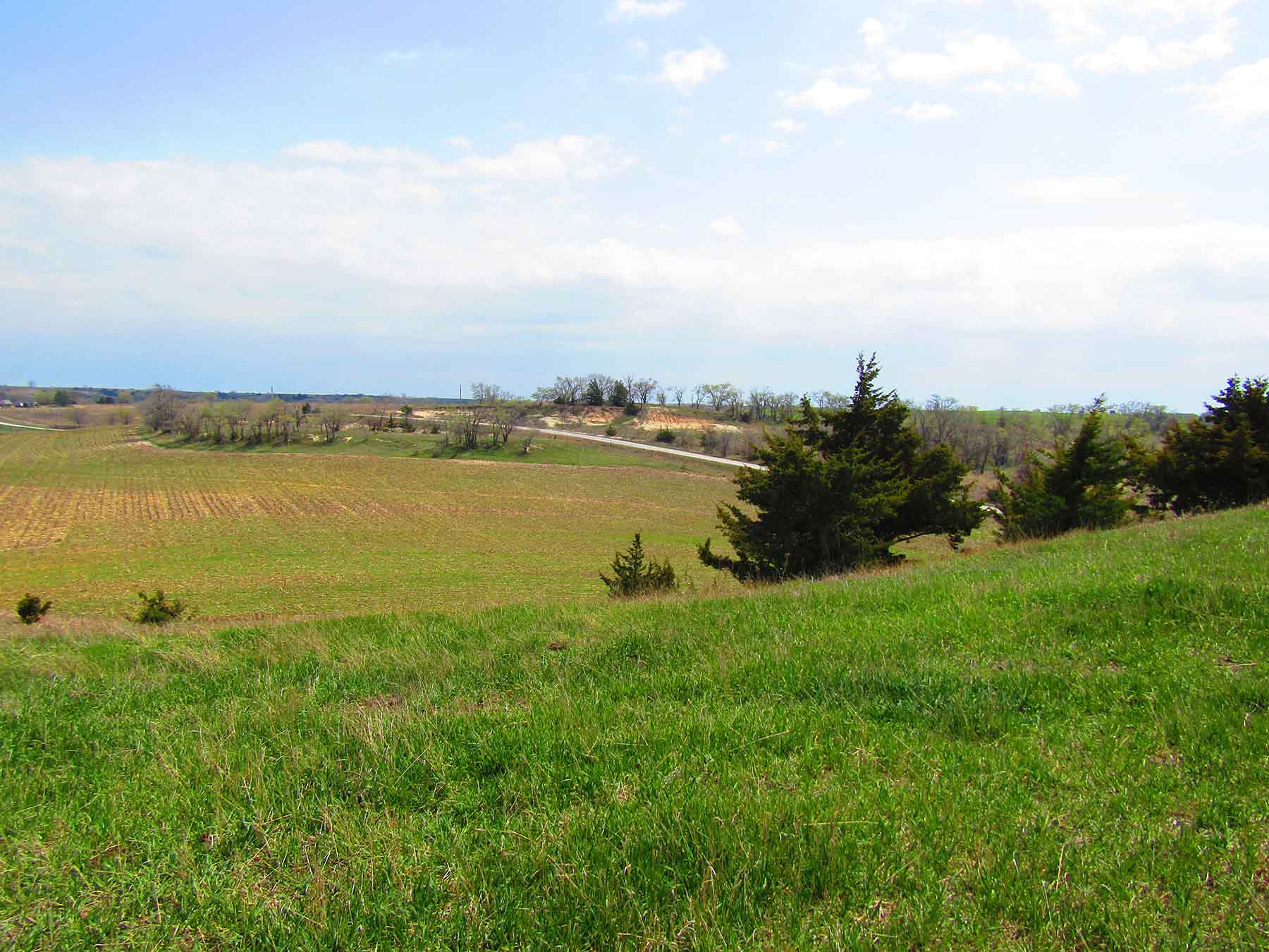 Red Sky Farm & Ranch property picture 7 of 99