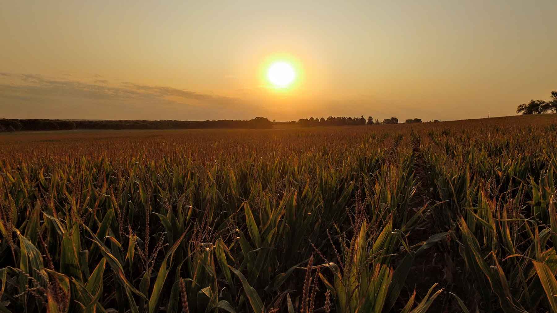 Red Sky Farm & Ranch property picture 41 of 99