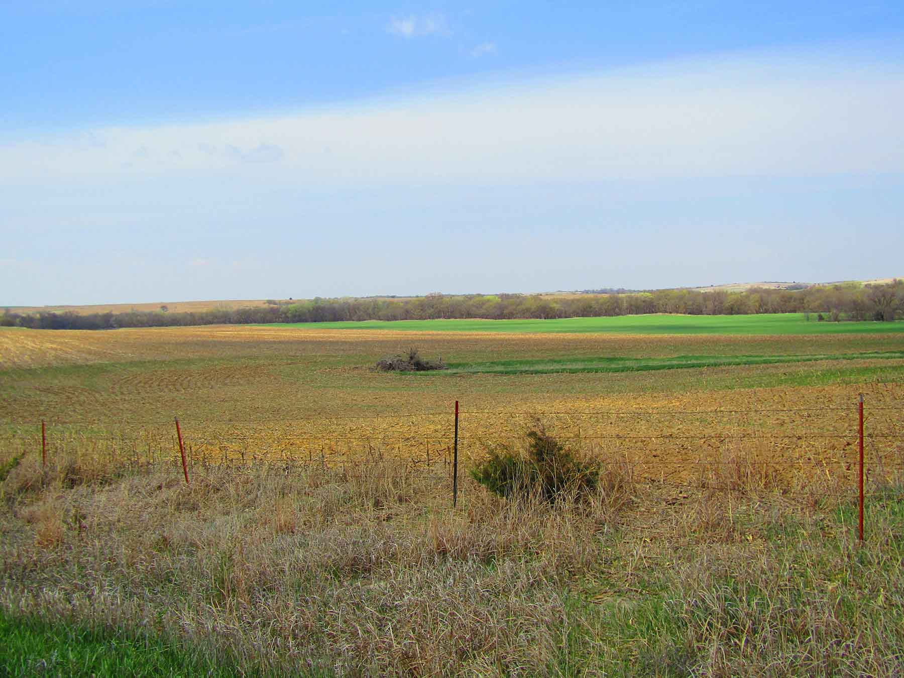 Red Sky Farm & Ranch property picture 96 of 99