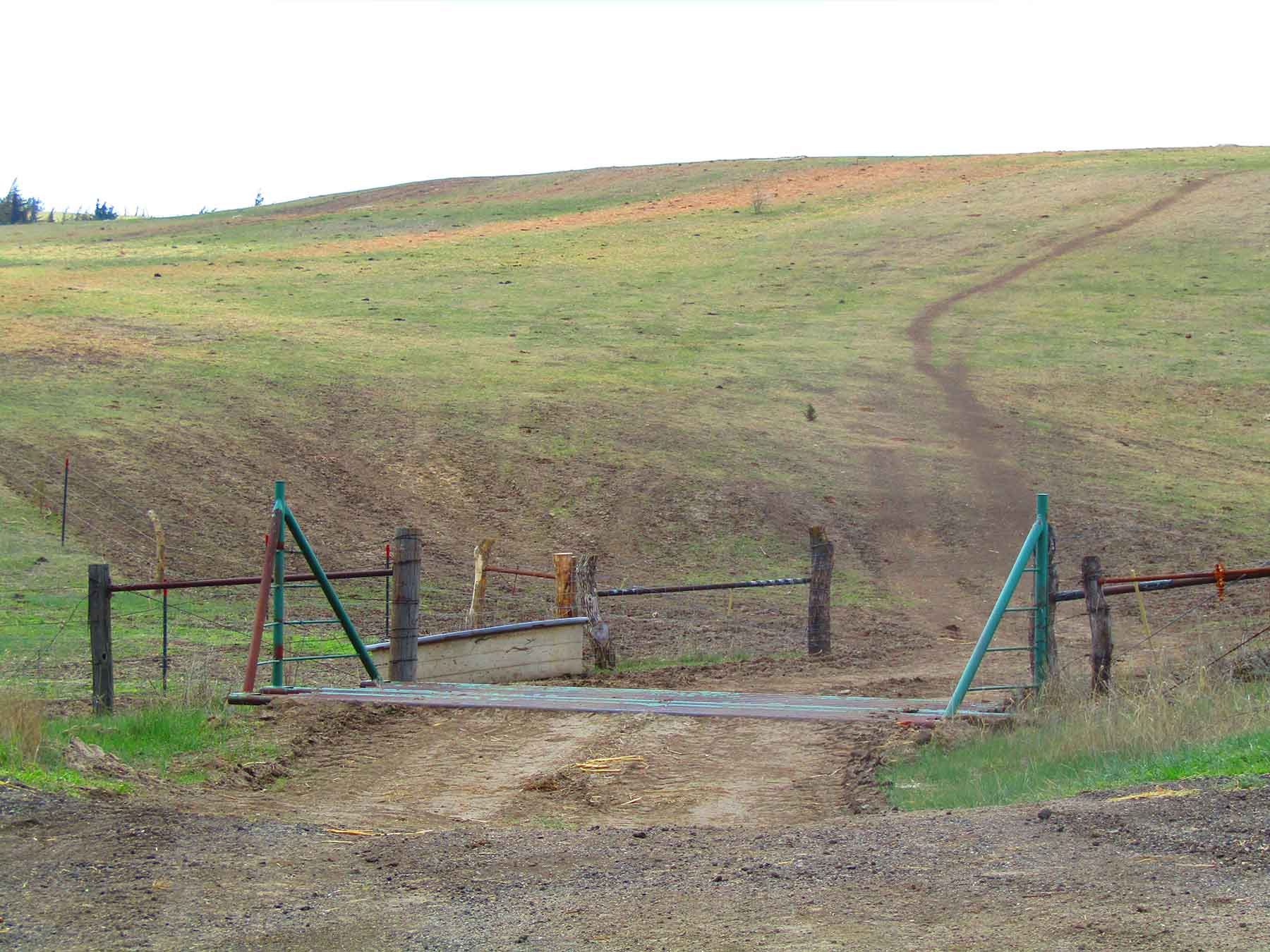 Red Sky Farm & Ranch property picture 26 of 99