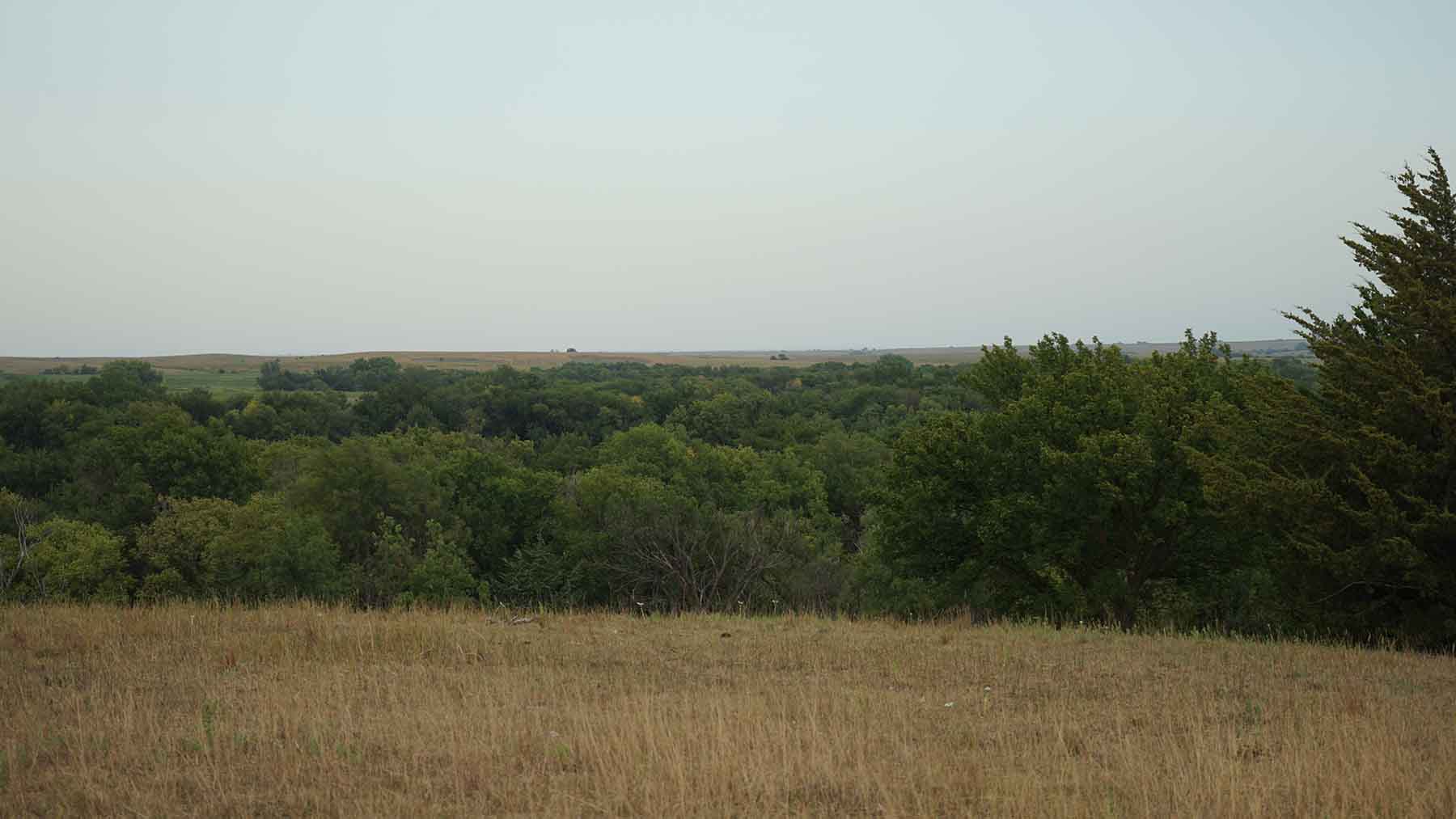 Red Sky Farm & Ranch property picture 71 of 99