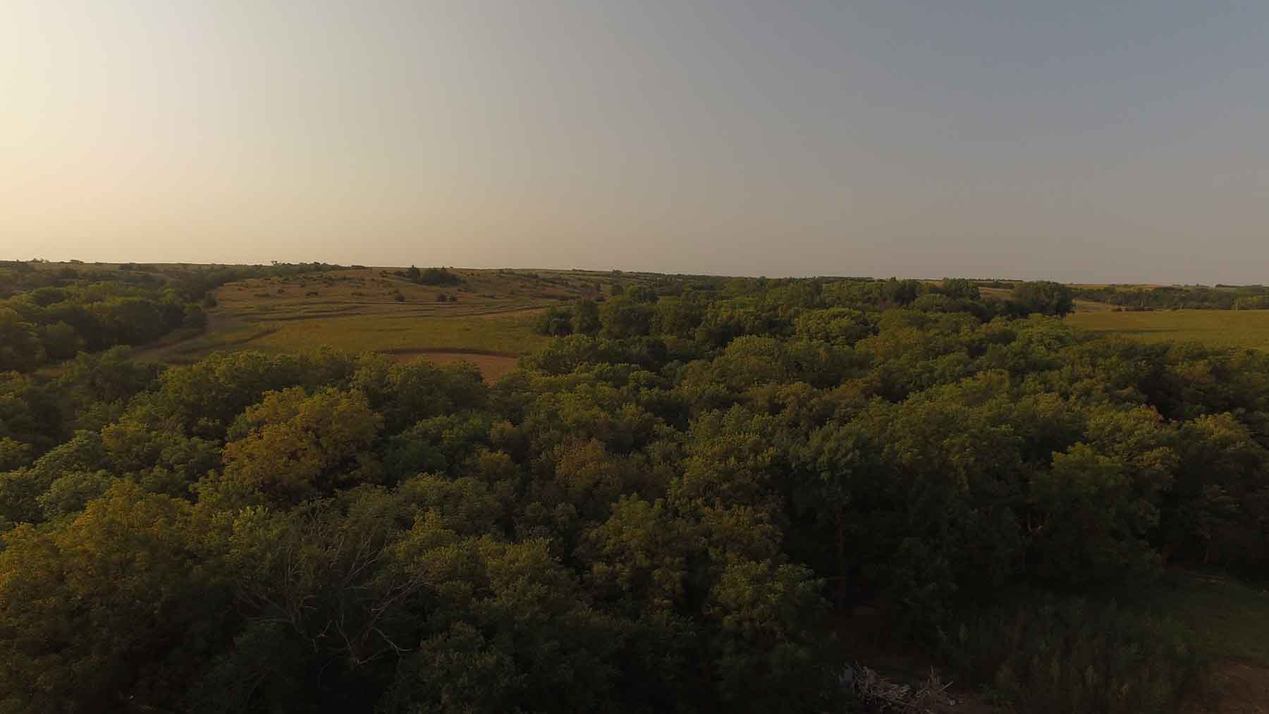 Red Sky Farm & Ranch property picture 56 of 99