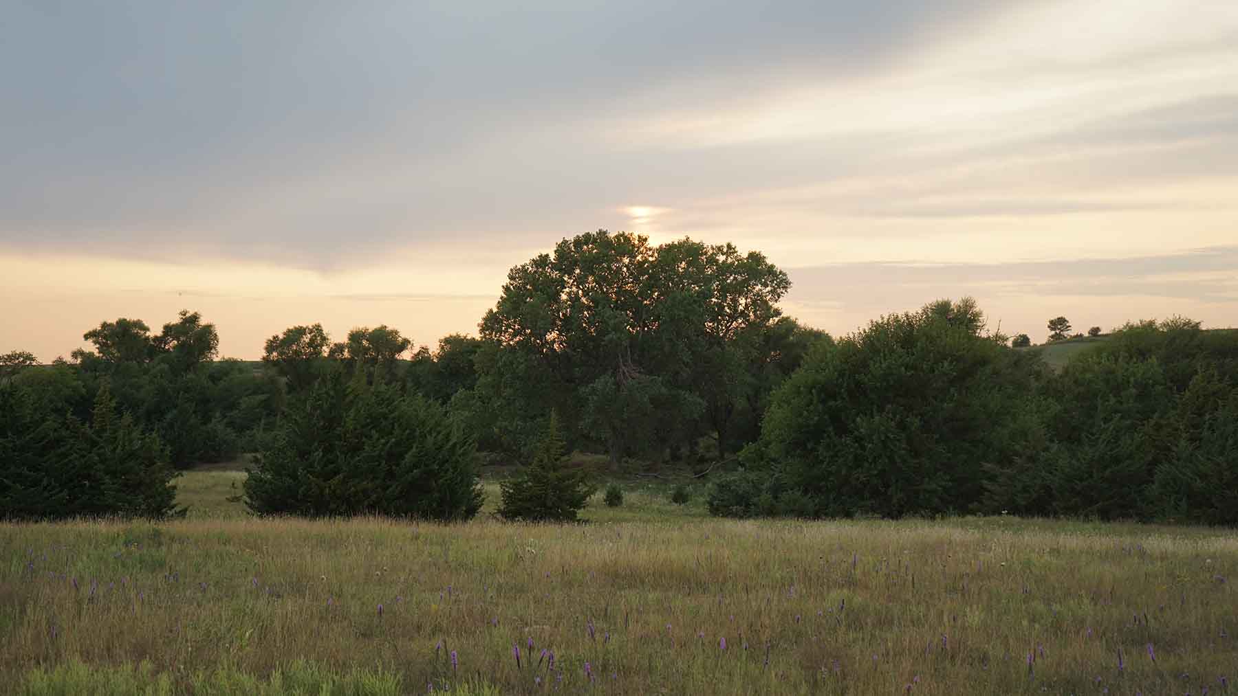 Red Sky Farm & Ranch property picture 81 of 99