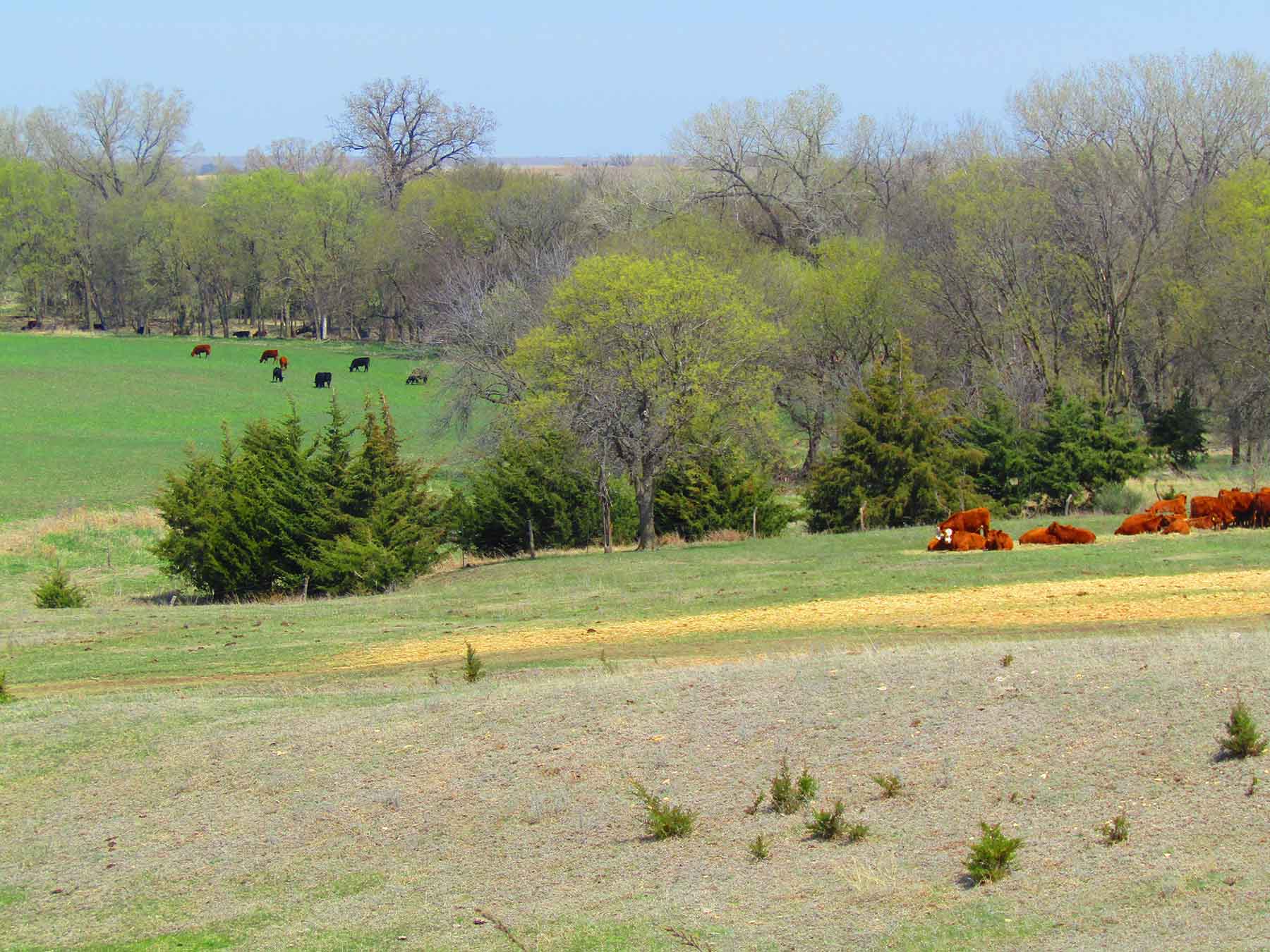 Red Sky Farm & Ranch property picture 89 of 99