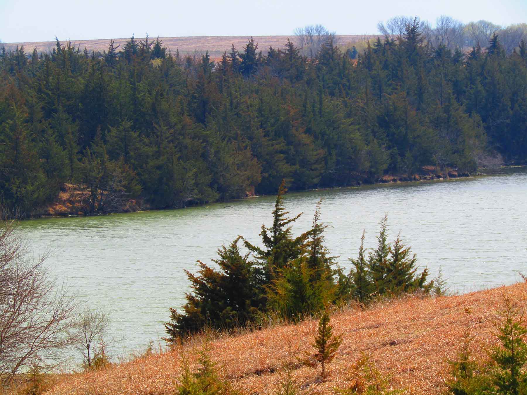 Red Sky Farm & Ranch property picture 93 of 99