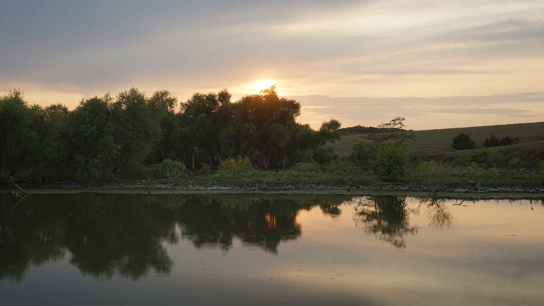 Red Sky Farm & Ranch property picture 83 of 99