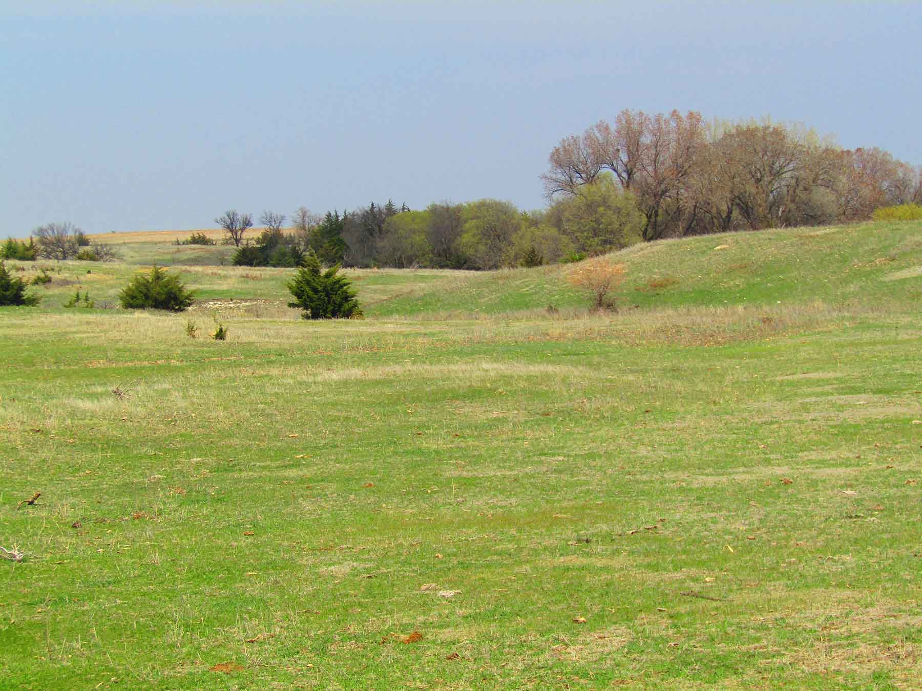 Red Sky Farm & Ranch property picture 69 of 99