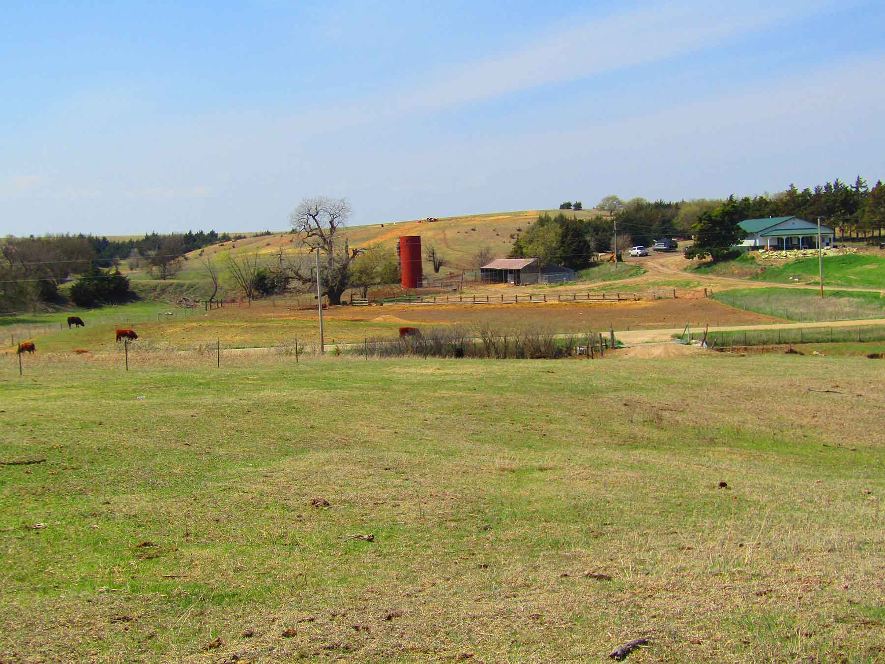 Red Sky Farm & Ranch property picture 87 of 99