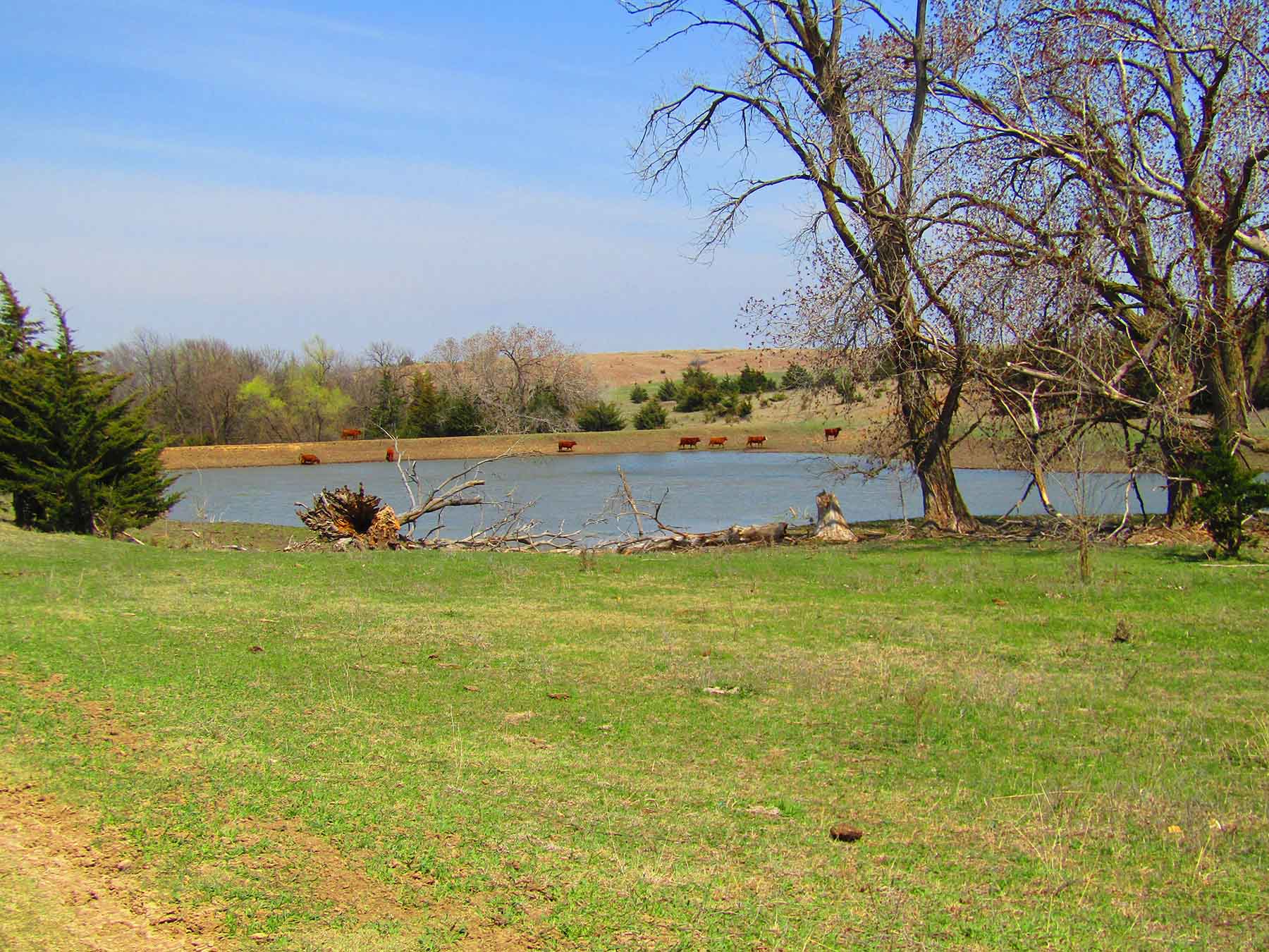 Red Sky Farm & Ranch property picture 21 of 99