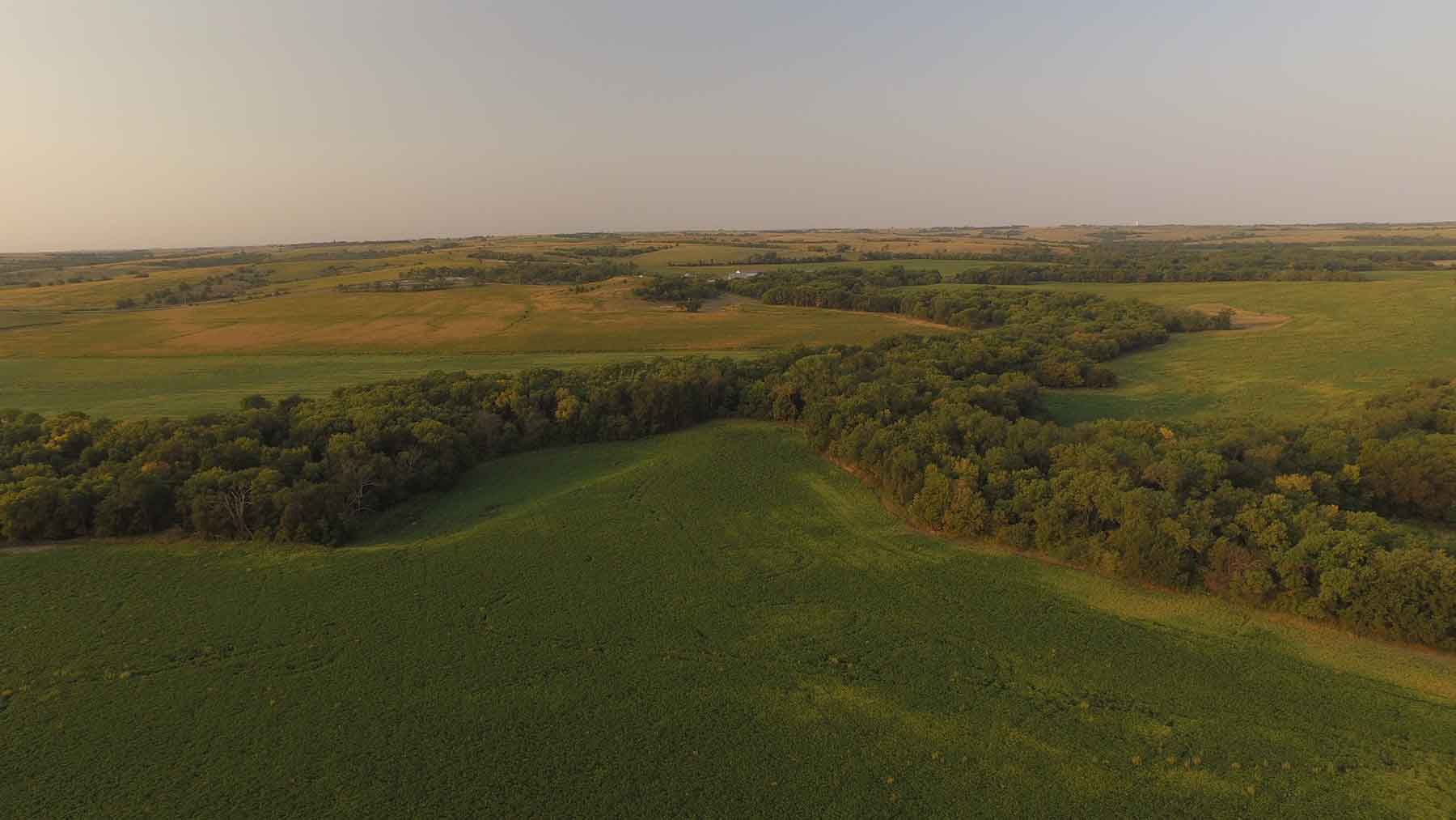 Red Sky Farm & Ranch property picture 46 of 99