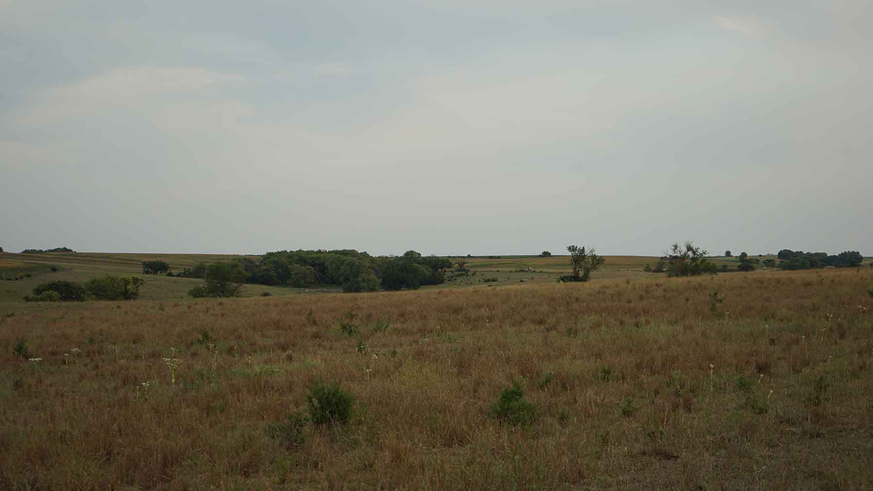 Red Sky Farm & Ranch property picture 75 of 99