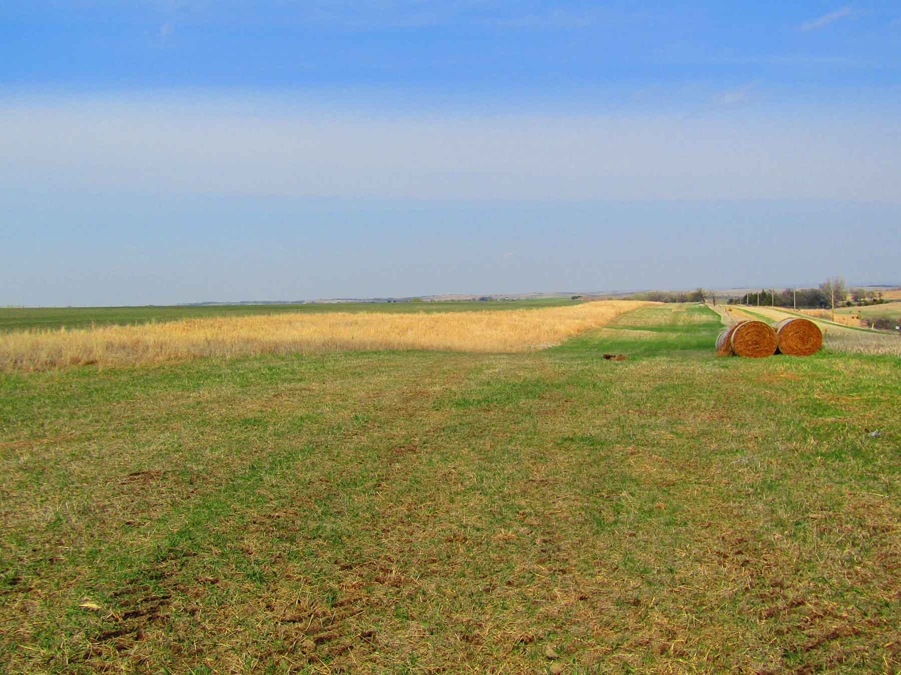 Red Sky Farm & Ranch property picture 97 of 99