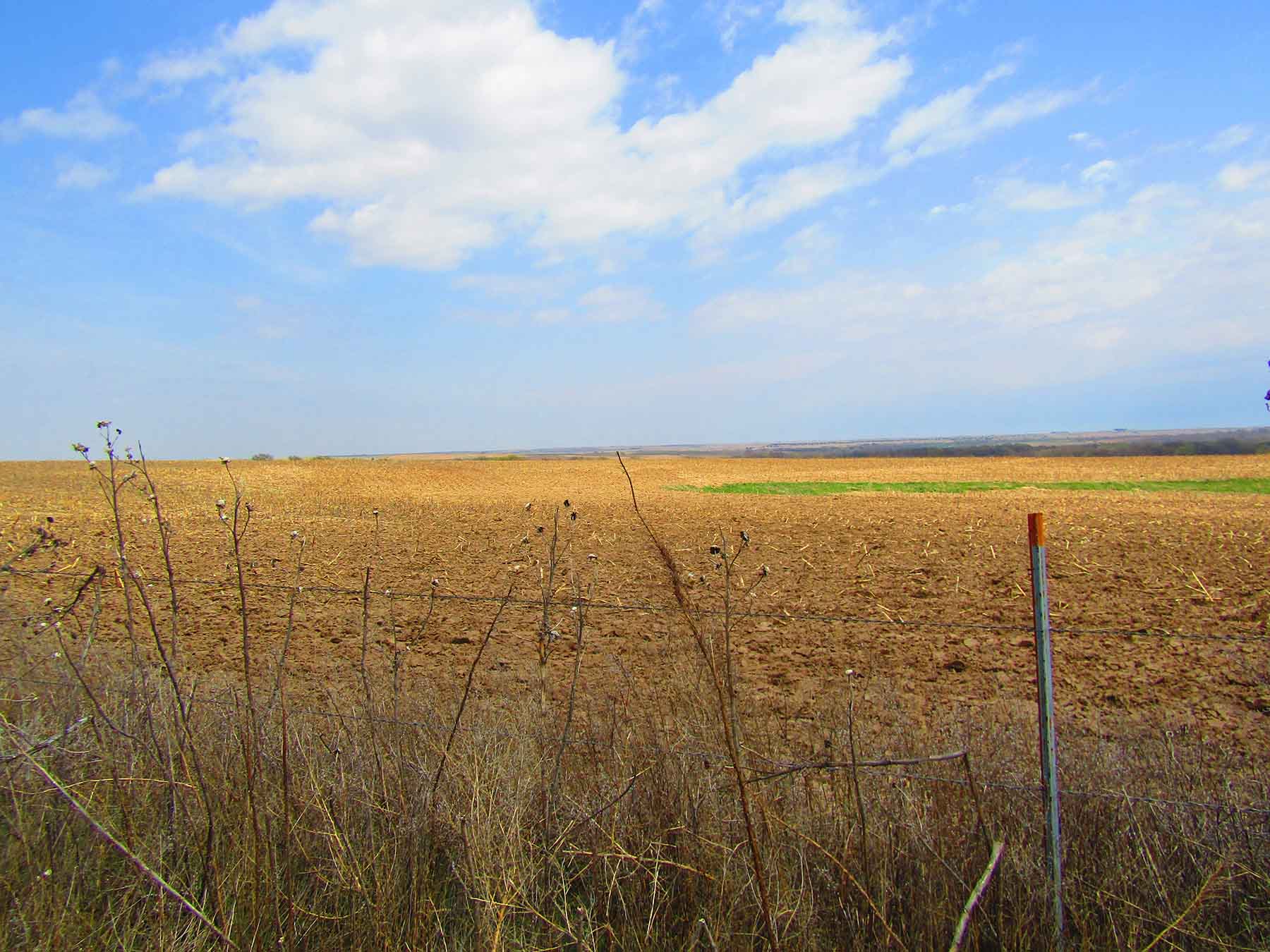 Red Sky Farm & Ranch property picture 17 of 99