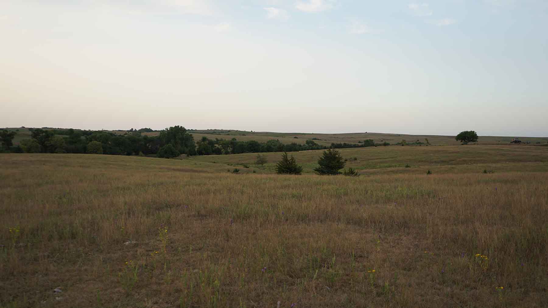 Red Sky Farm & Ranch property picture 79 of 99