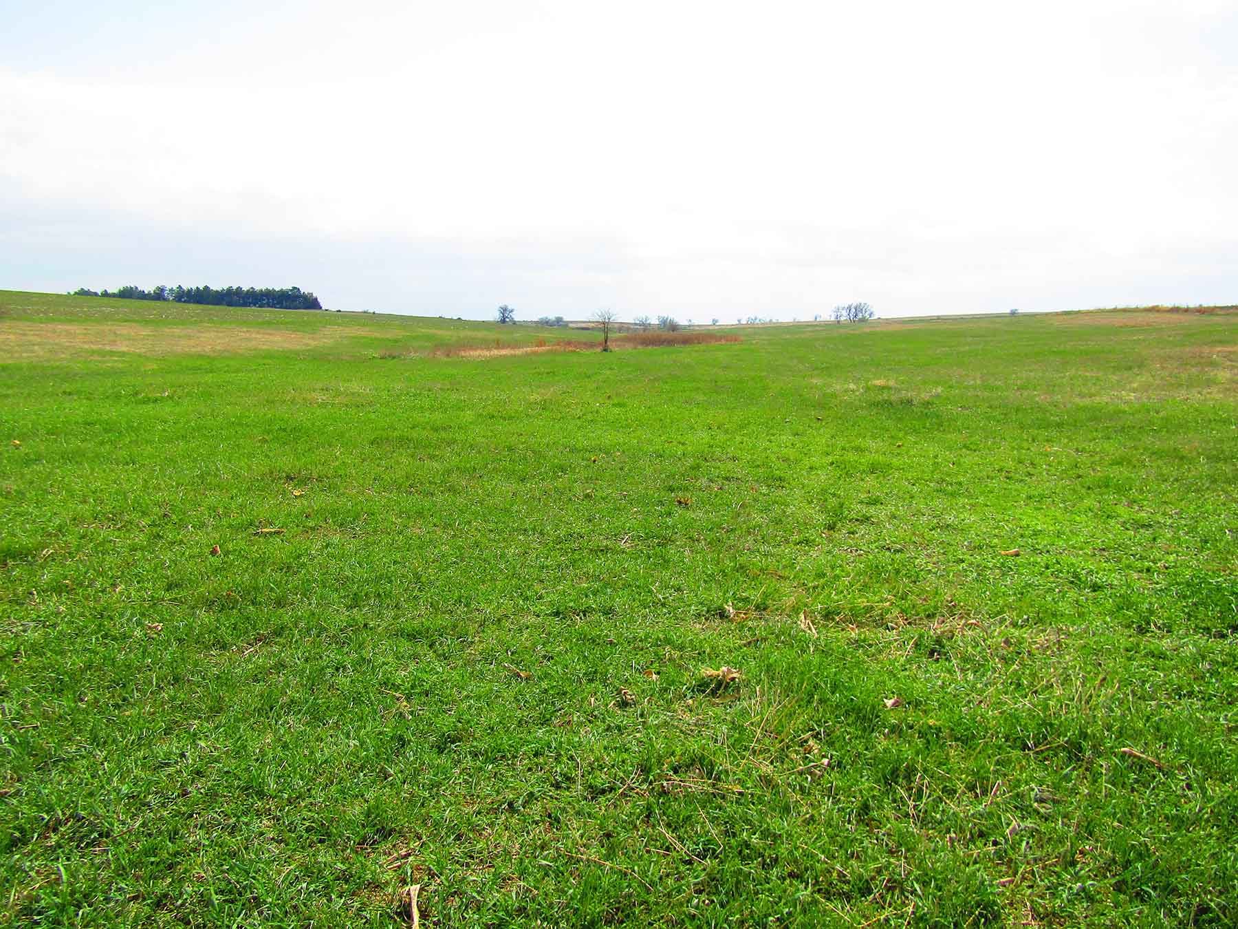 Red Sky Farm & Ranch property picture 94 of 99