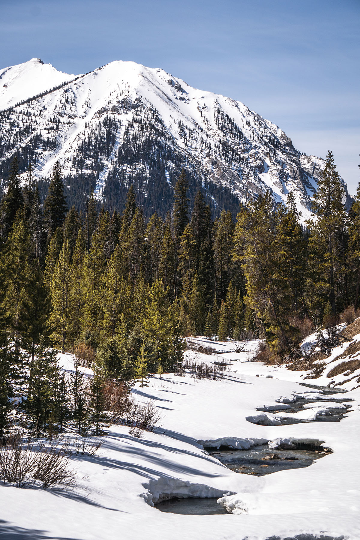 Trapper's Cabin property picture 83 of 83