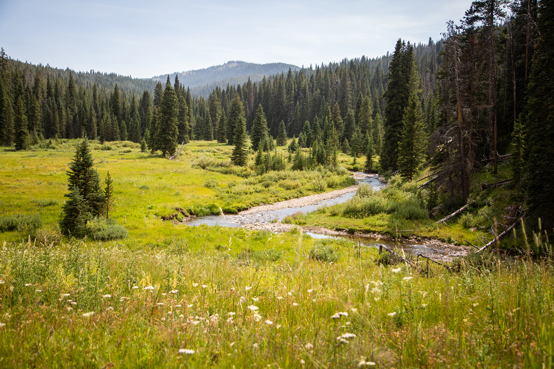 Trapper's Cabin property picture 6 of 83