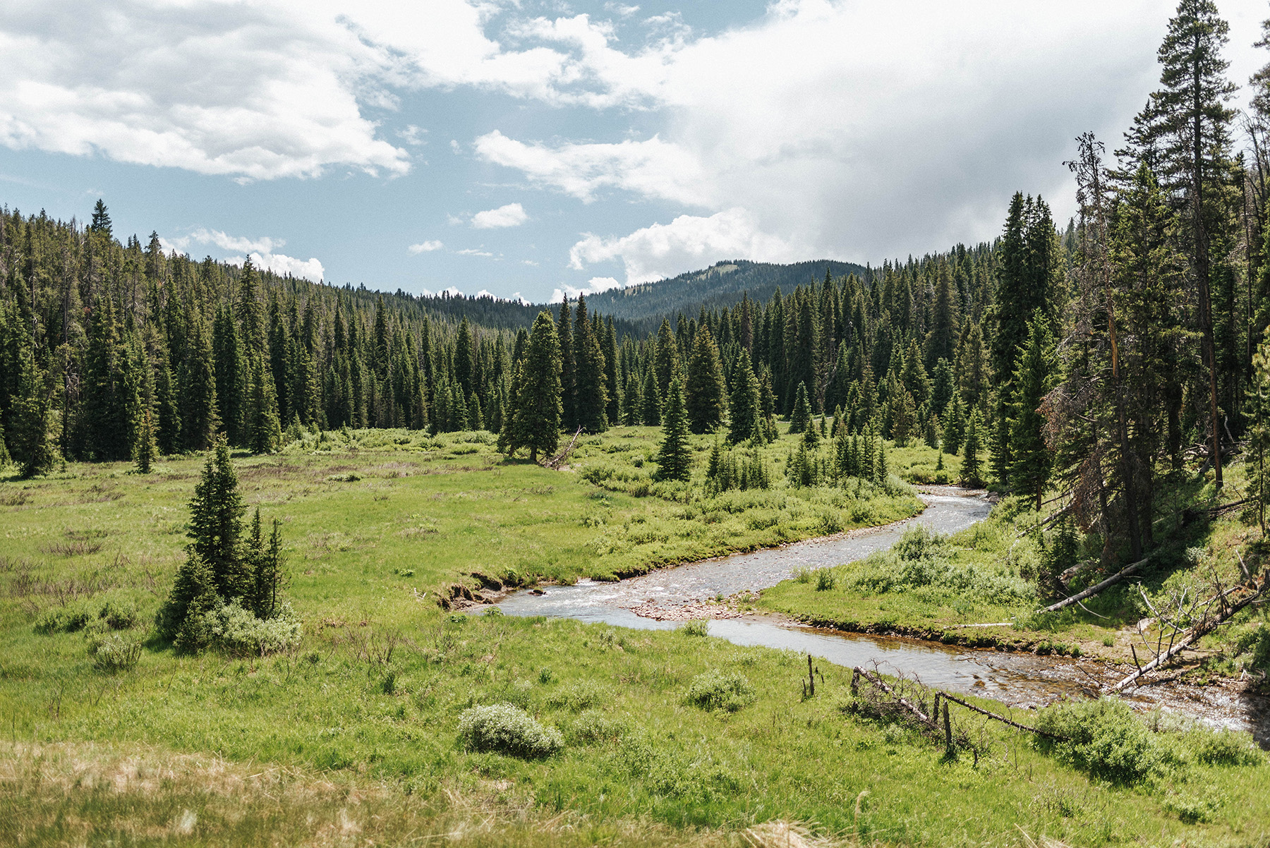 Trapper's Cabin property picture 64 of 83