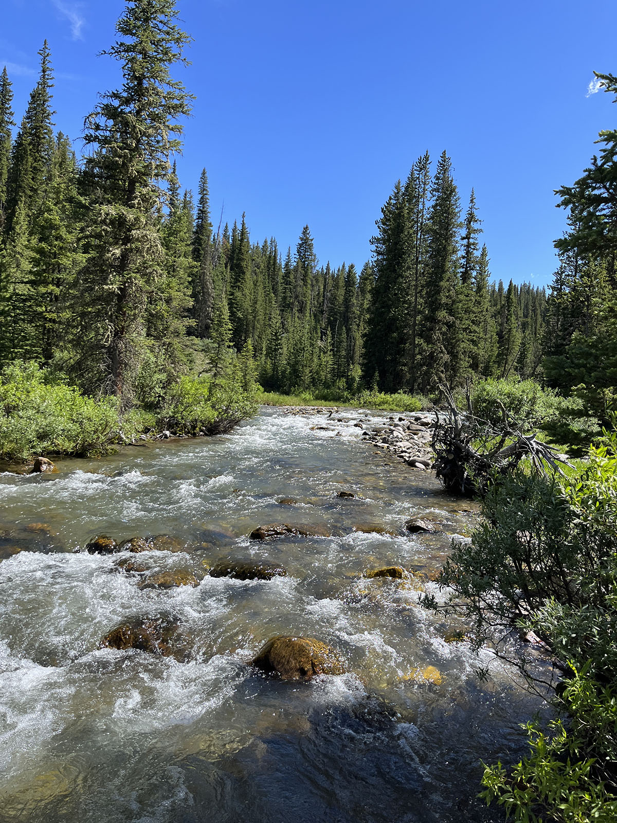 Trapper's Cabin property picture 50 of 83