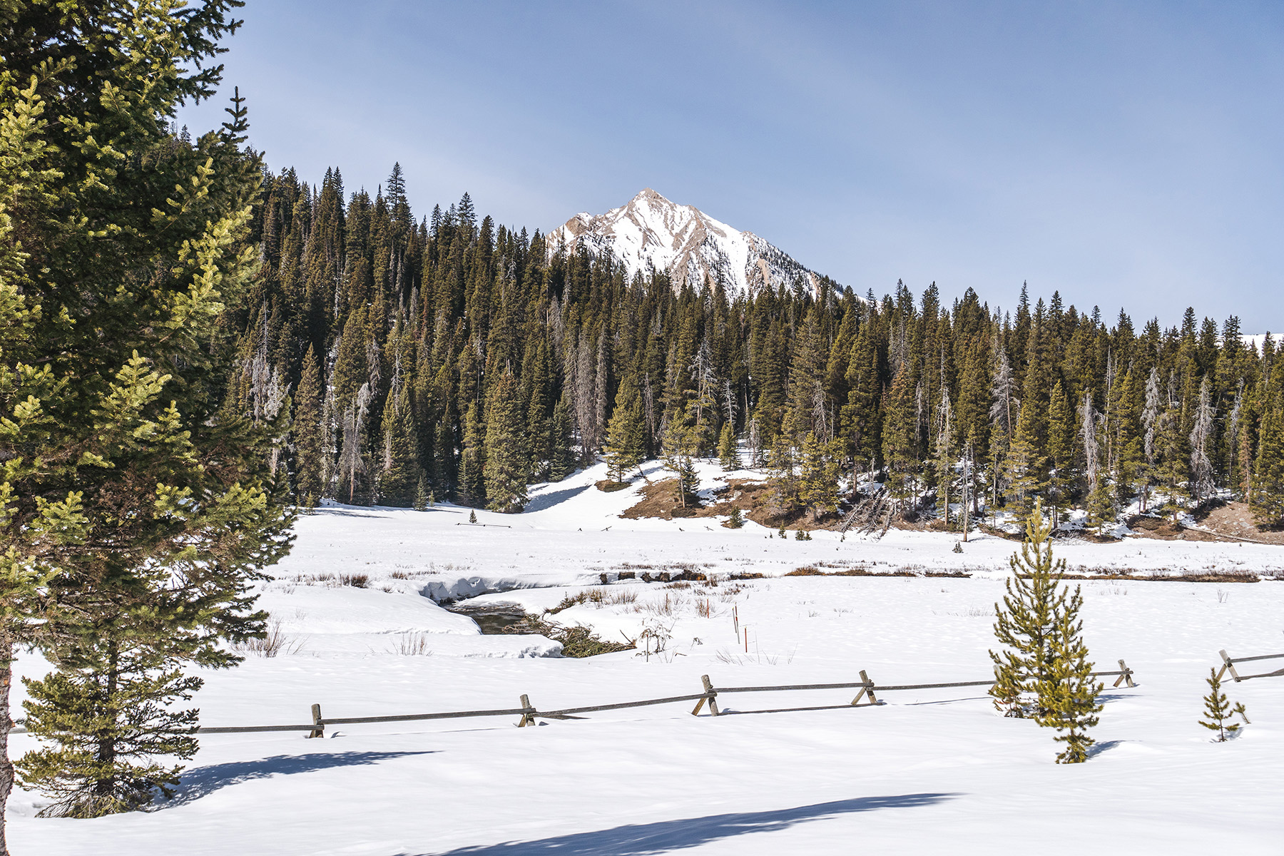 Trapper's Cabin property picture 82 of 83