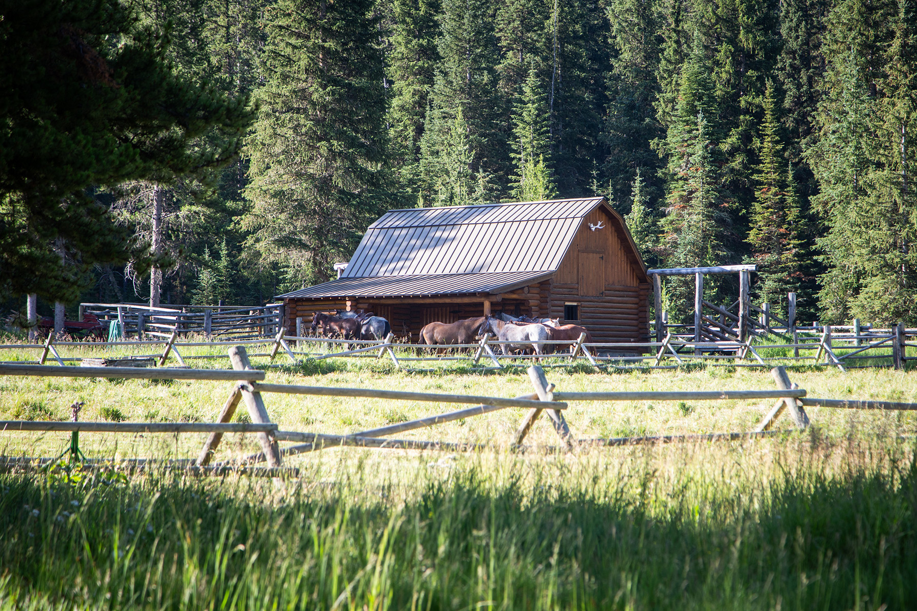 Trapper's Cabin property picture 56 of 83