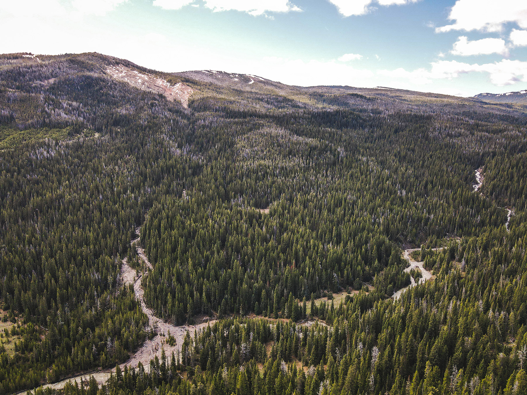 Trapper's Cabin property picture 35 of 83