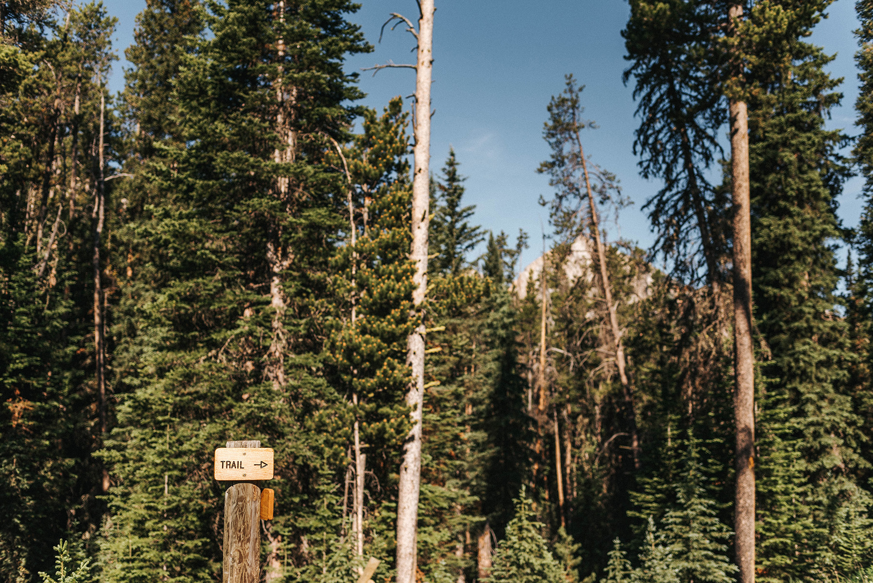 Trapper's Cabin property picture 60 of 83