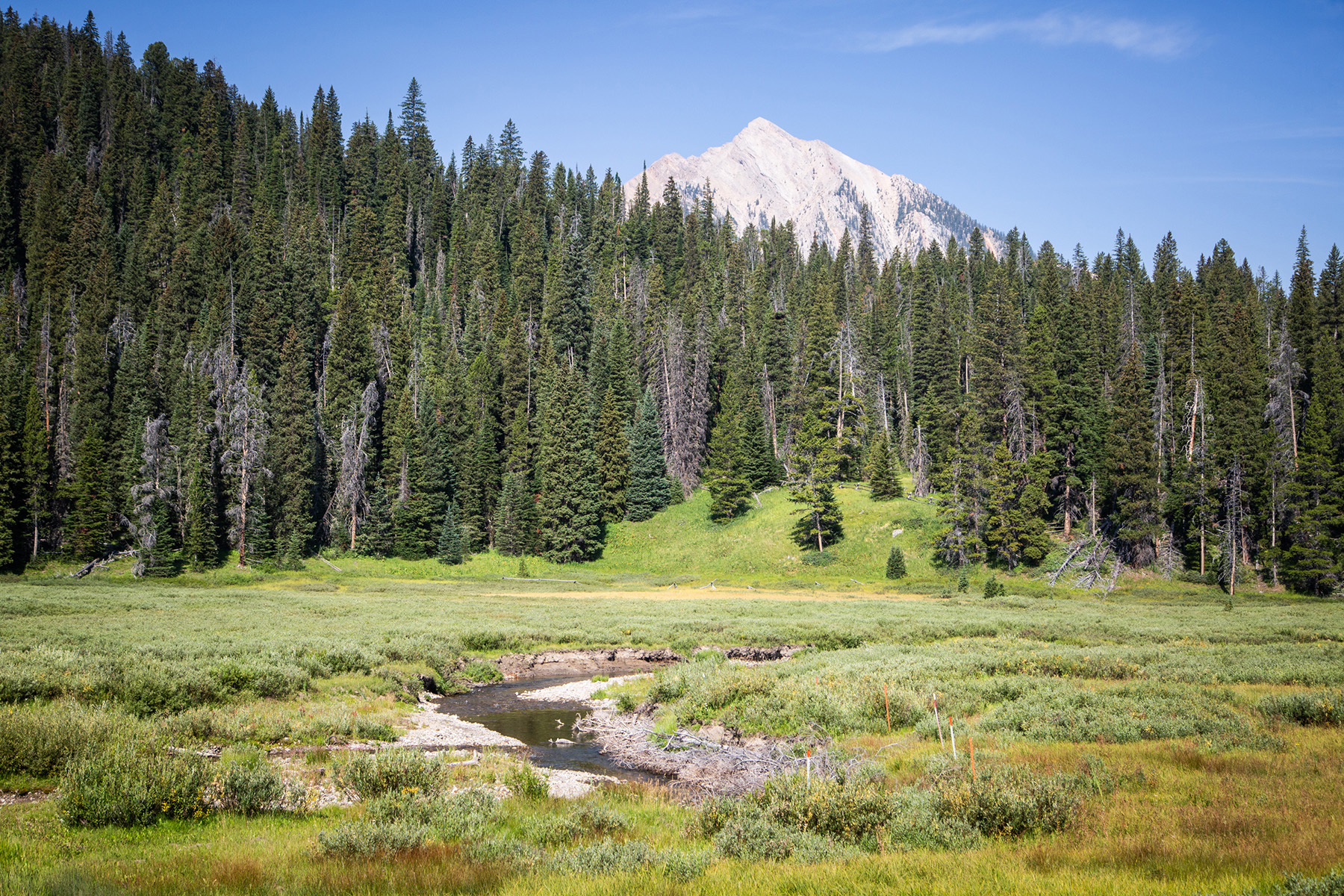 Trapper's Cabin property picture 70 of 83