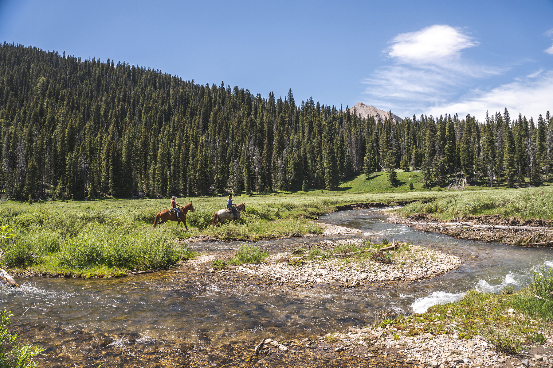 Trapper's Cabin property picture 9 of 83