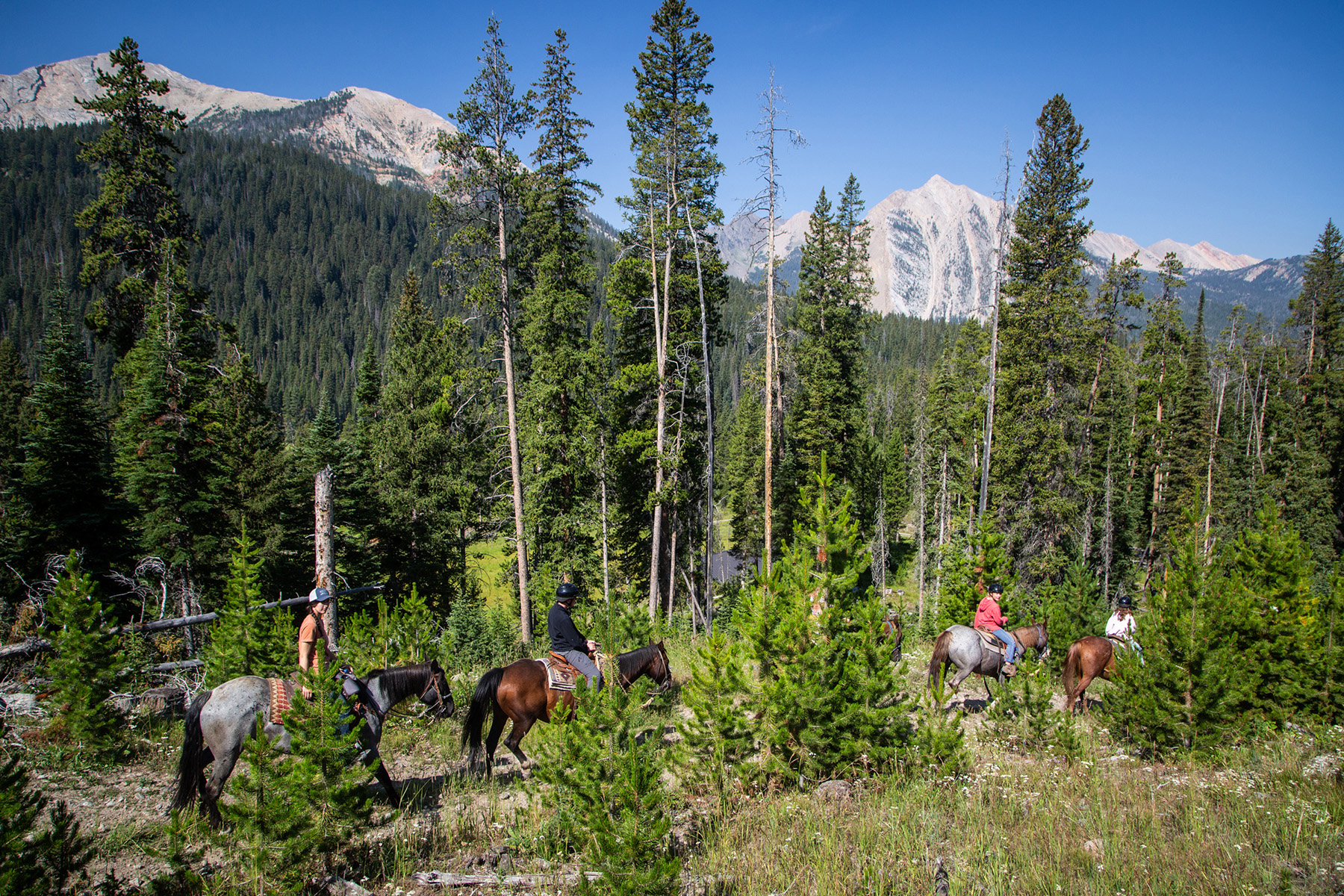 Trapper's Cabin property picture 58 of 83