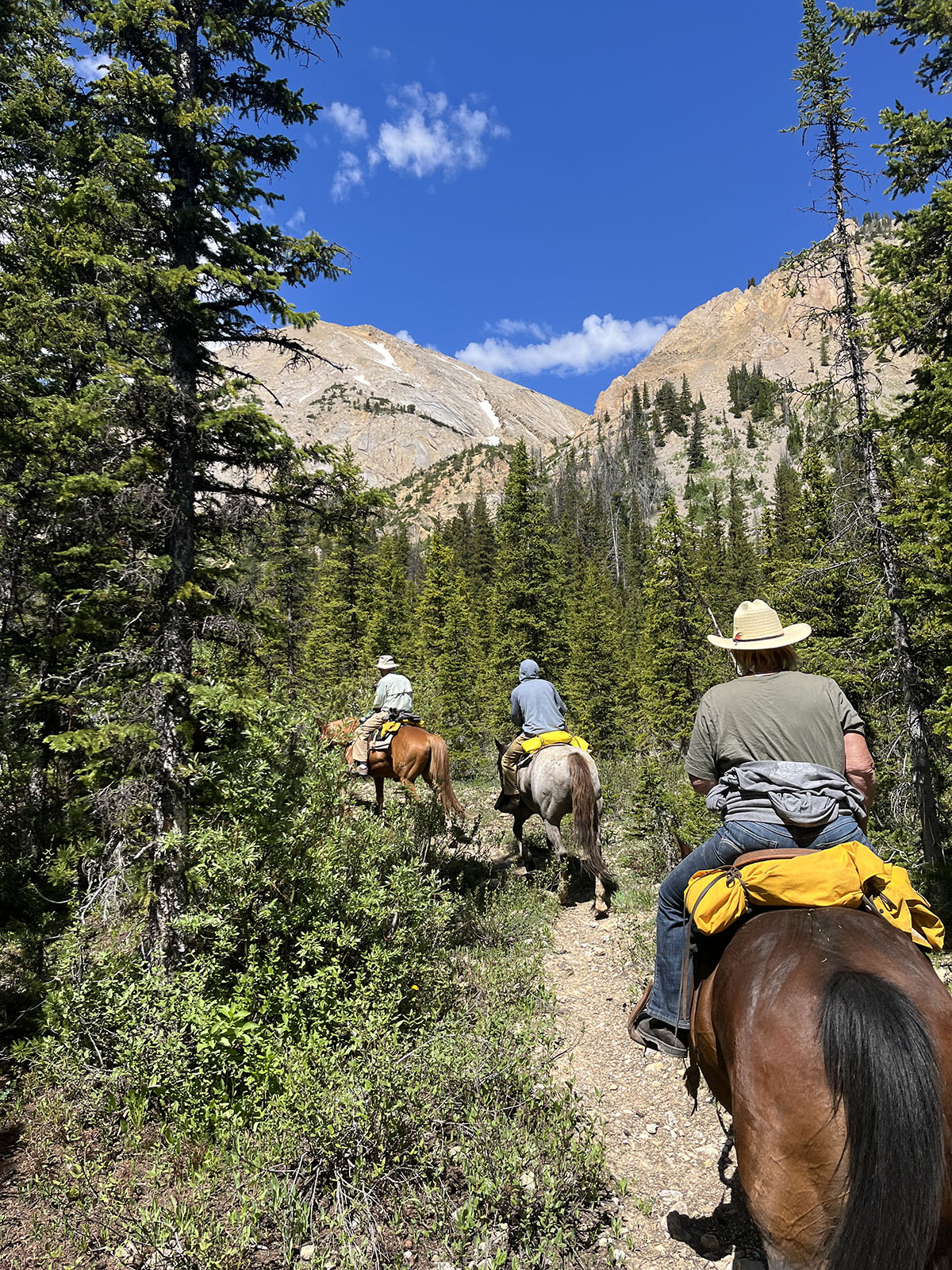 Trapper's Cabin property picture 59 of 83