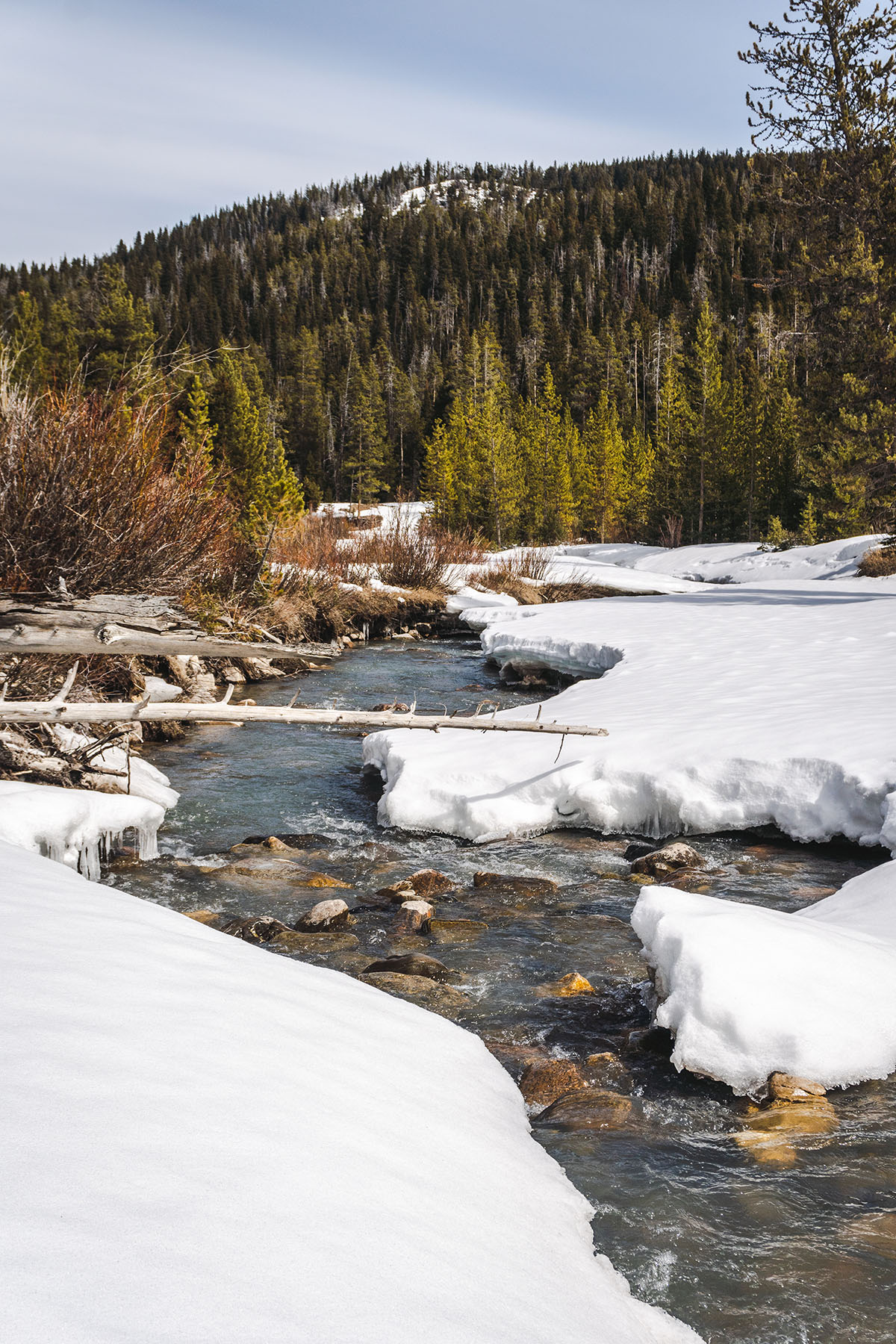 Trapper's Cabin property picture 80 of 83