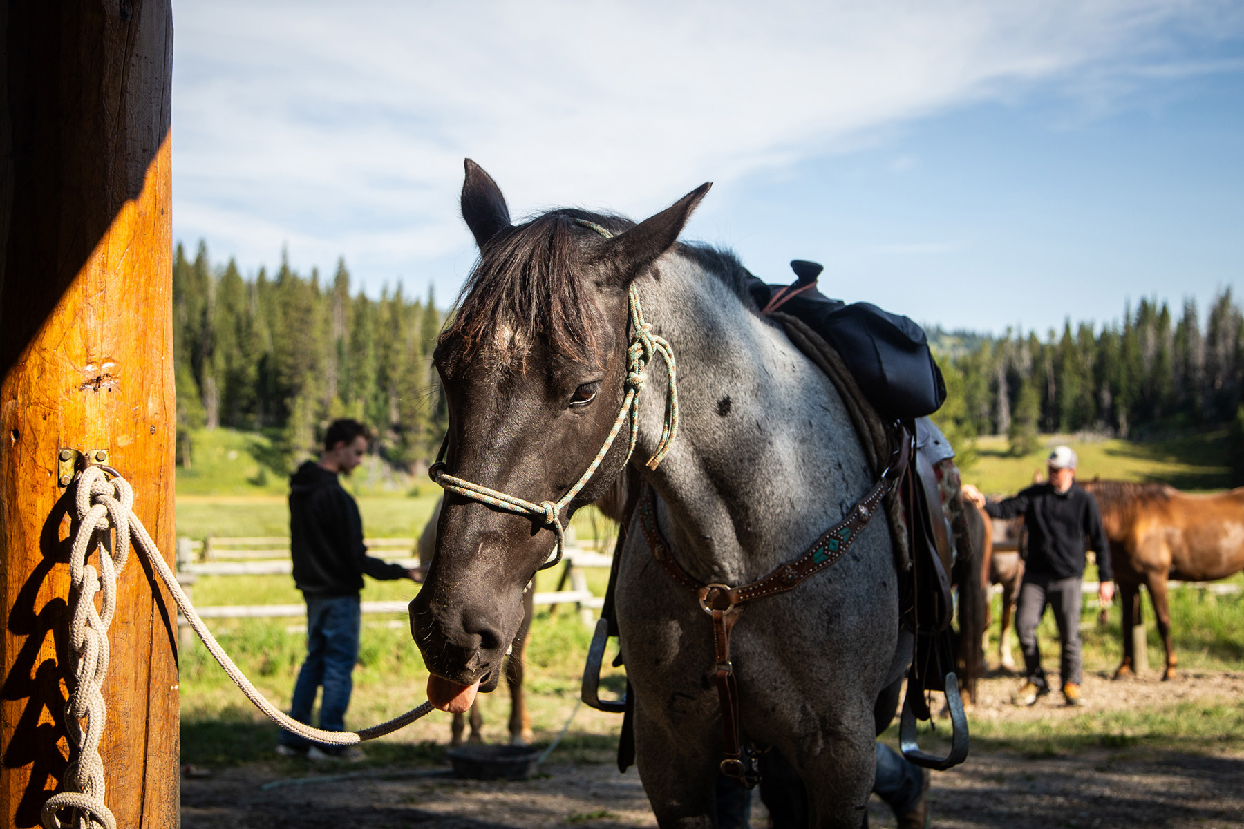 Trapper's Cabin property picture 32 of 83