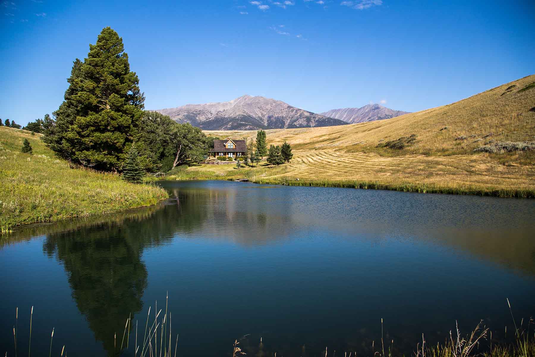 Morris Place Ranch property picture 12 of 45