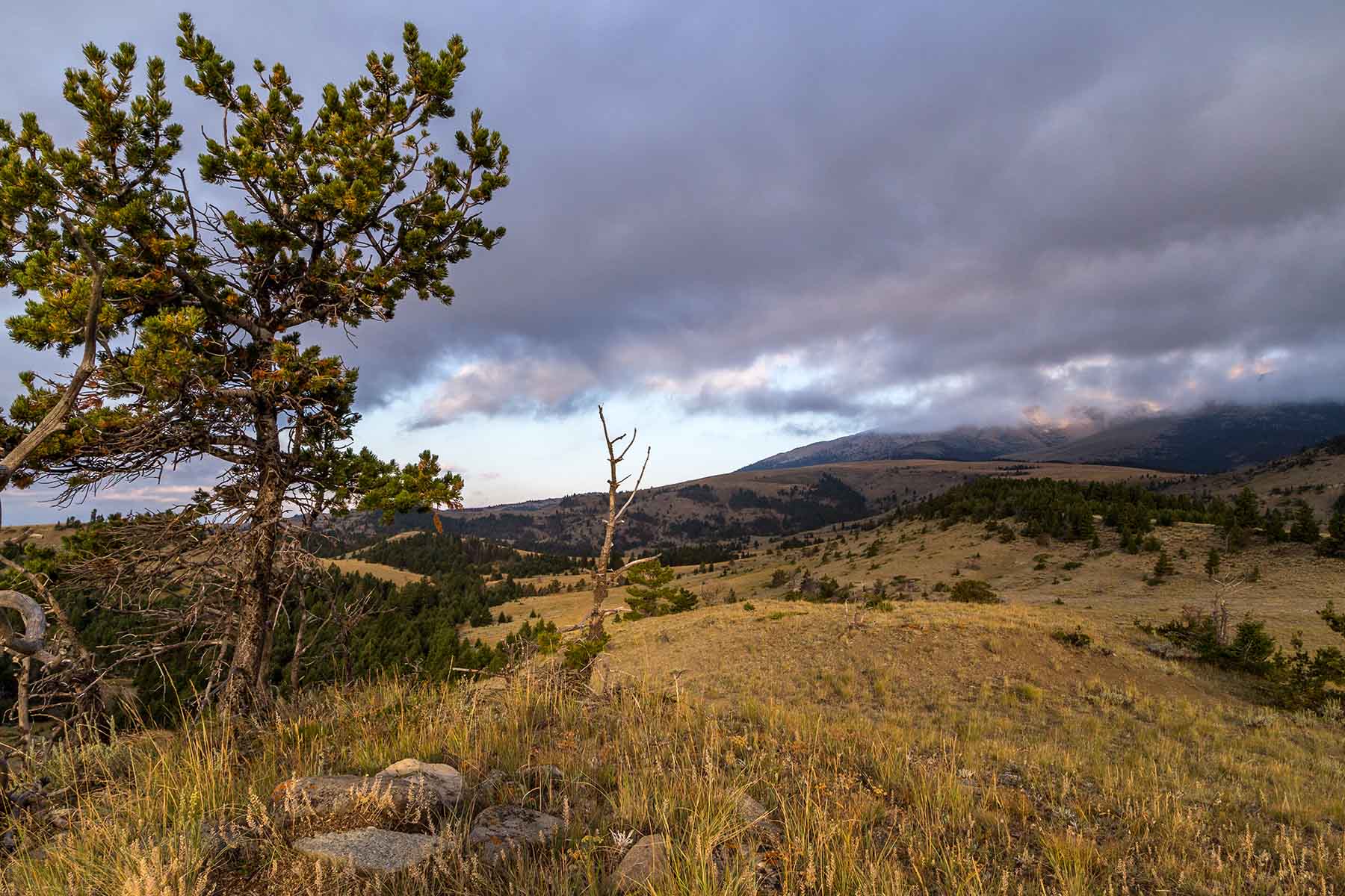 Morris Place Ranch property picture 44 of 45