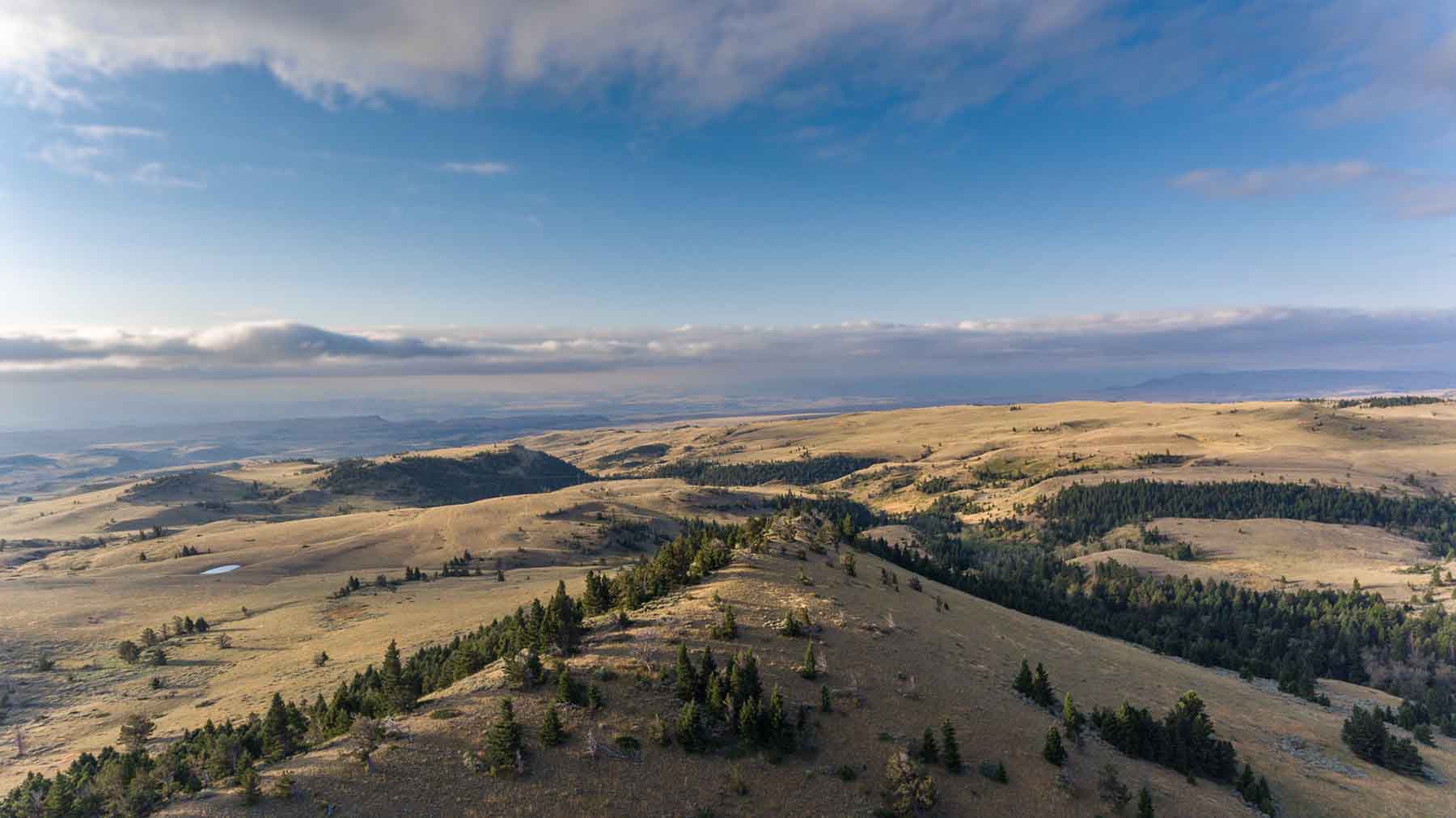 Morris Place Ranch property picture 33 of 45