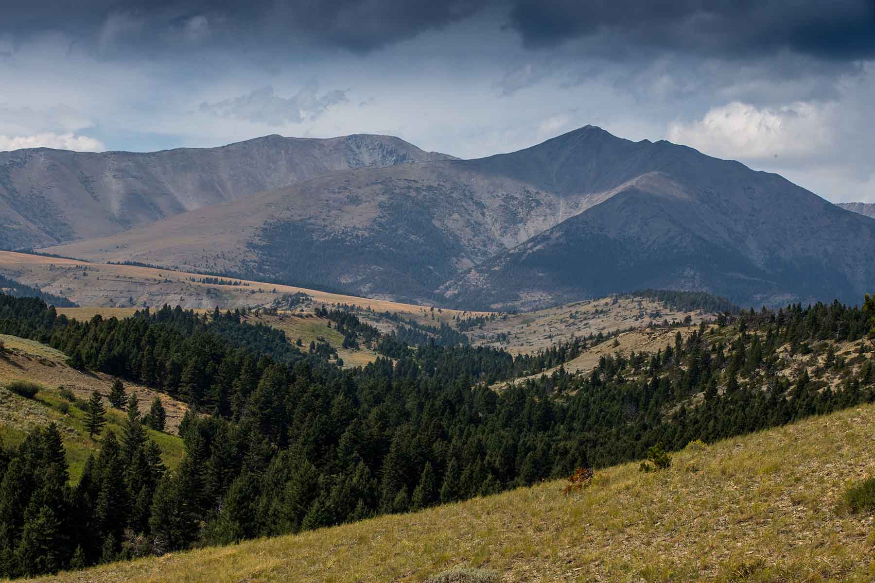 Morris Place Ranch property picture 6 of 45