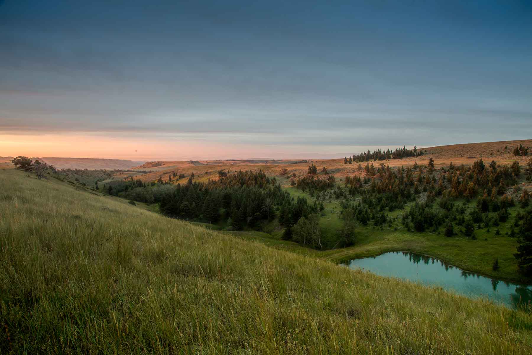 Morris Place Ranch property picture 9 of 45