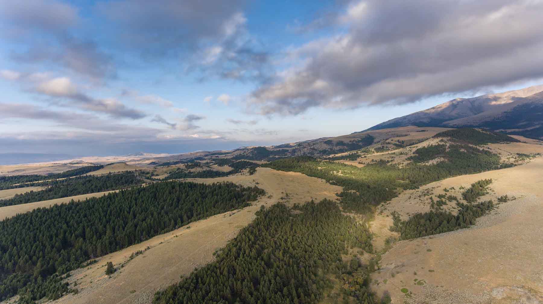 Morris Place Ranch property picture 36 of 45