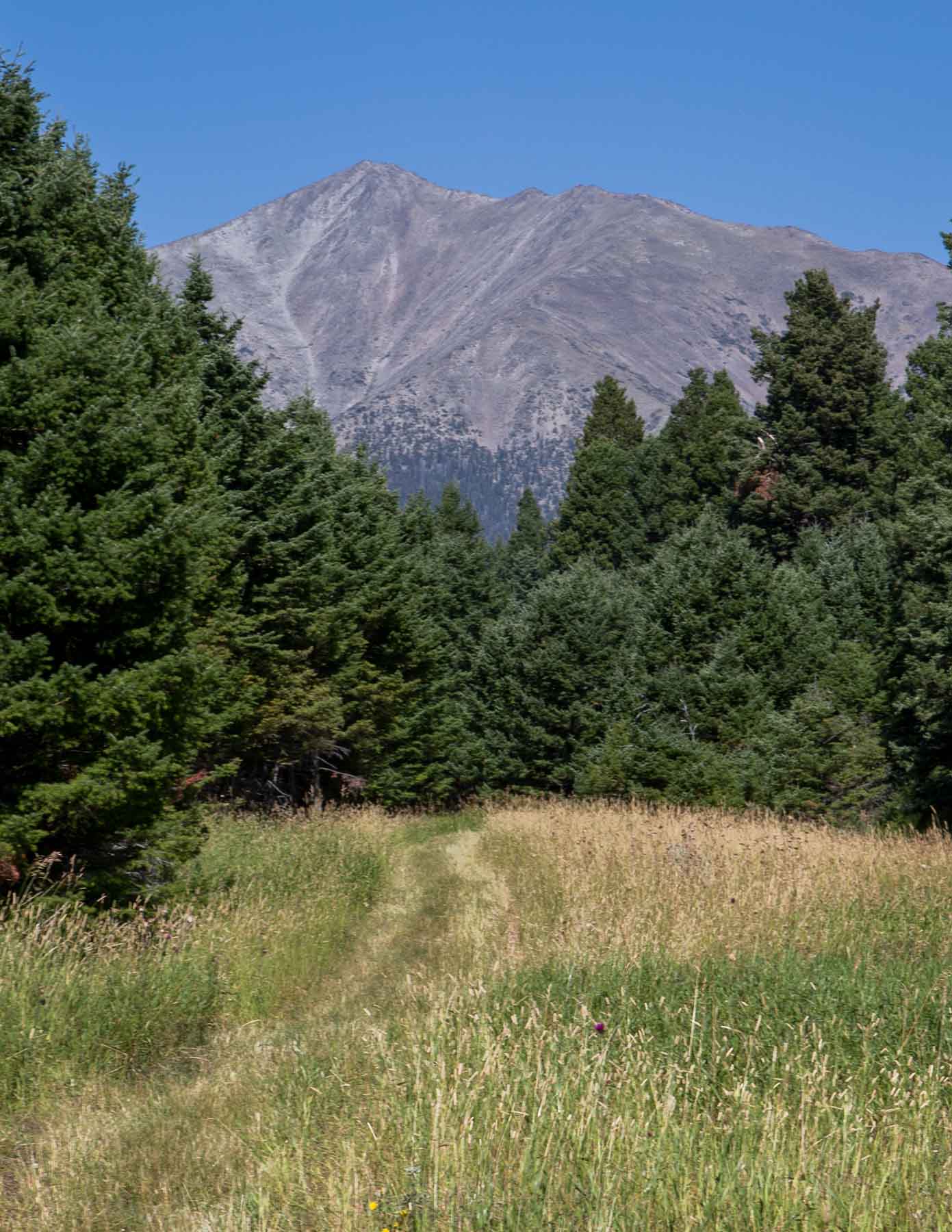 Morris Place Ranch property picture 38 of 45