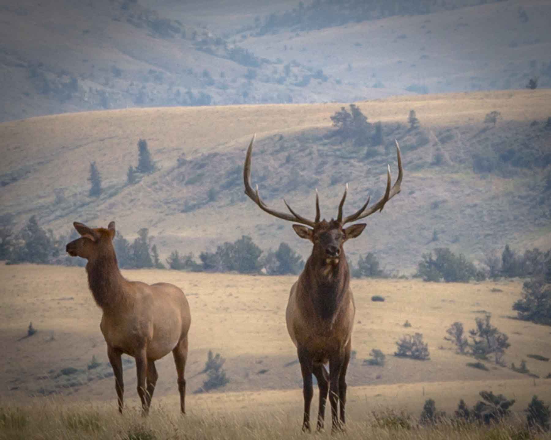 Morris Place Ranch property picture 10 of 45