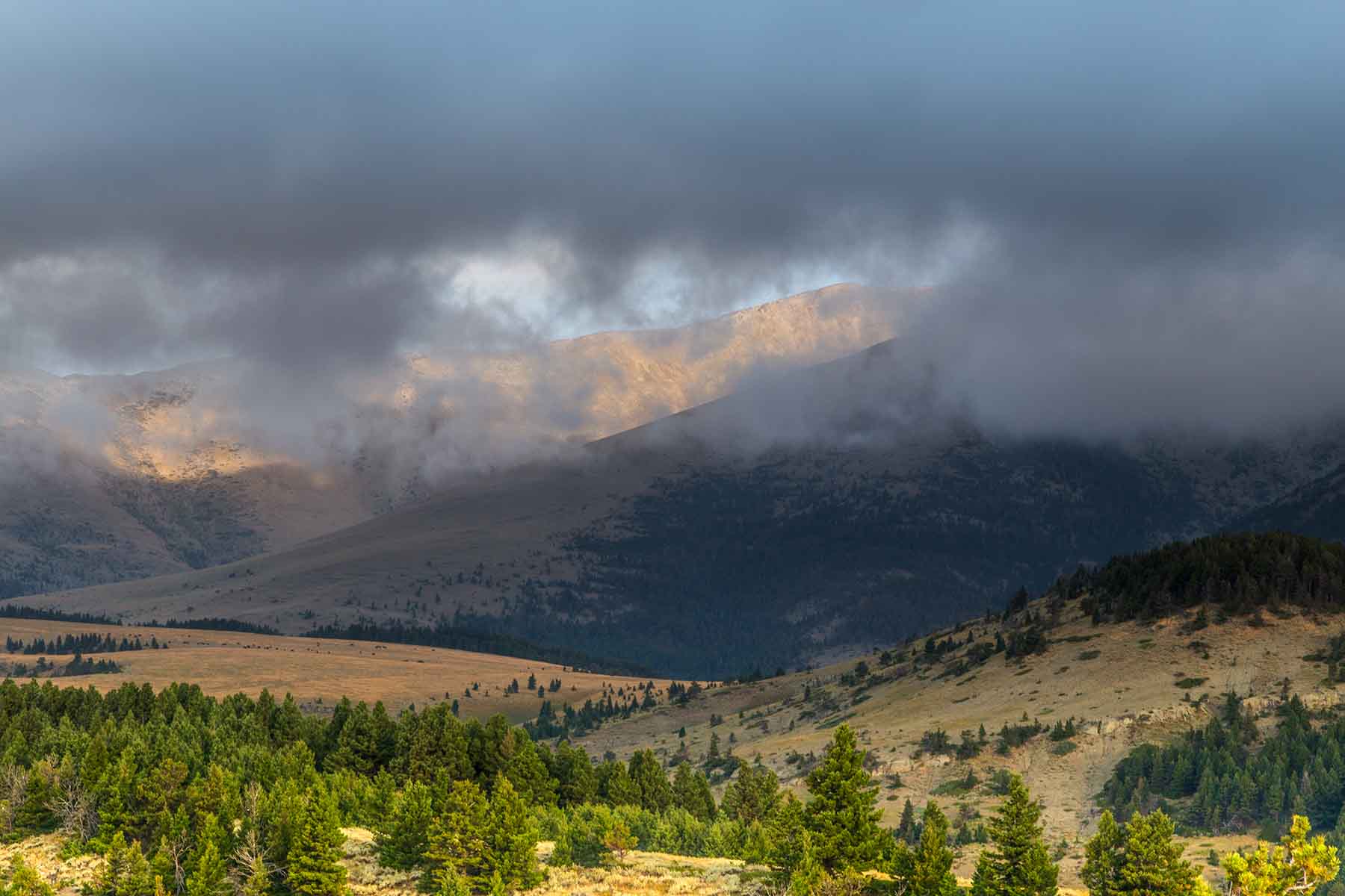 Morris Place Ranch property picture 7 of 45