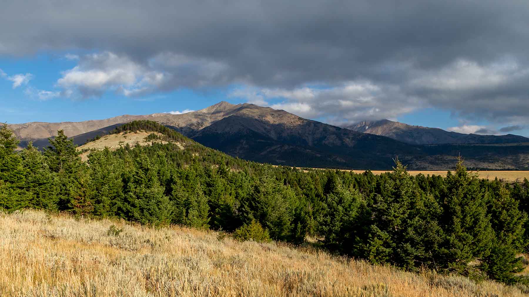 Morris Place Ranch property picture 43 of 45