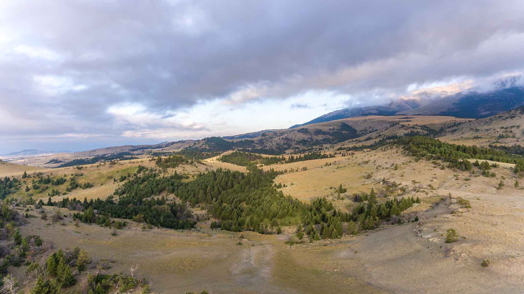 Morris Place Ranch property picture 34 of 45