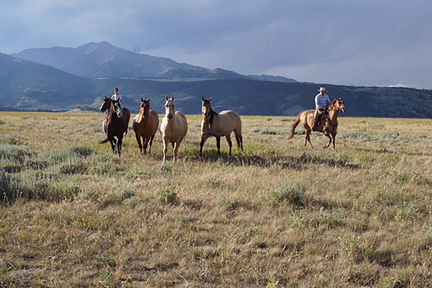 Morris Place Ranch property picture 39 of 45