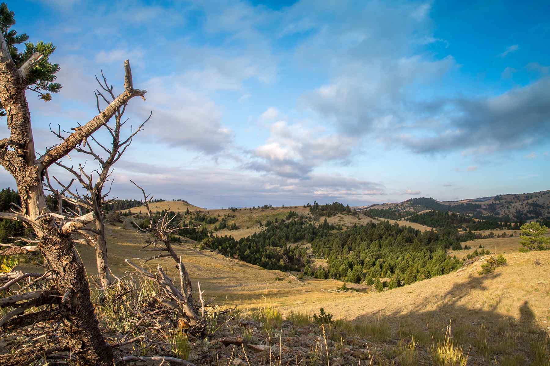 Morris Place Ranch property picture 11 of 45