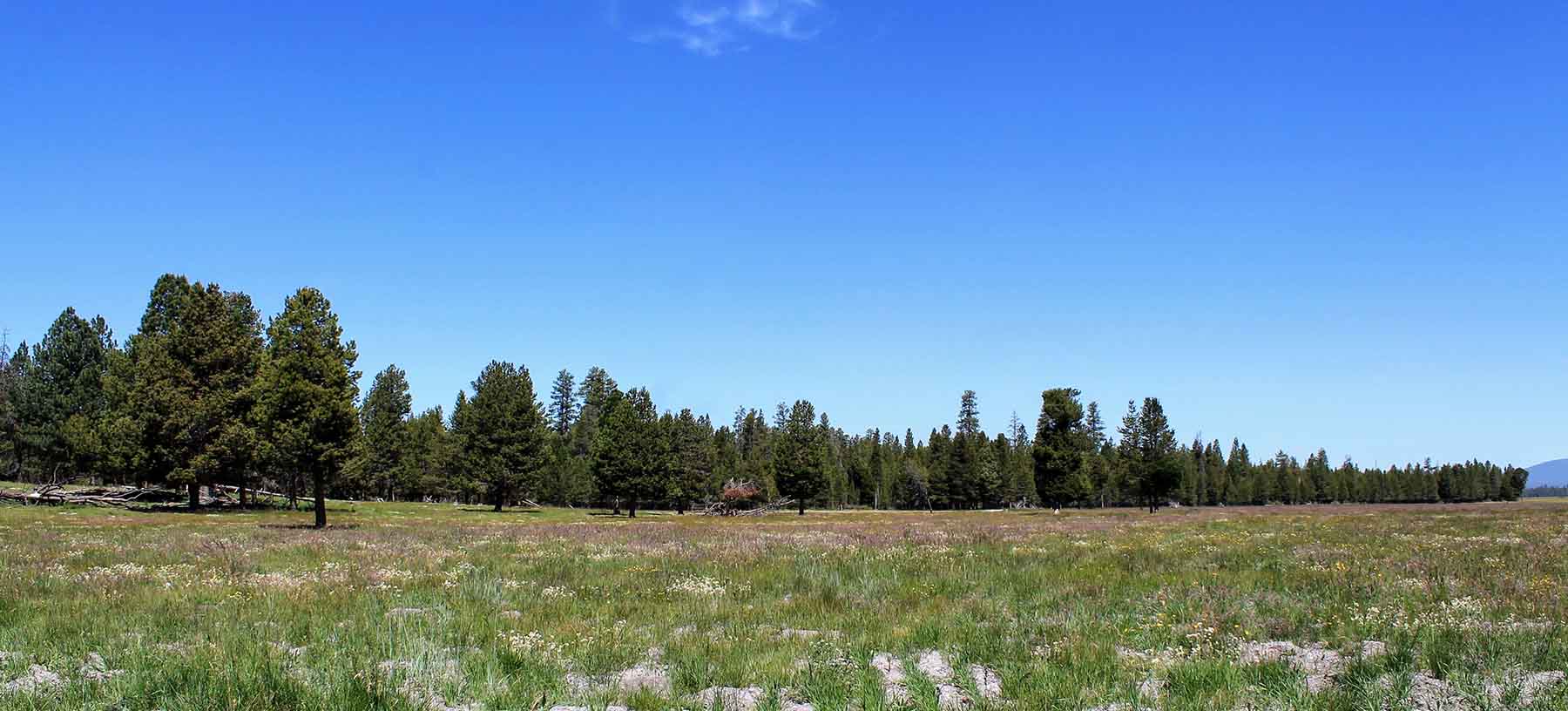 Timmerman Land and Cattle Company property picture 6 of 38